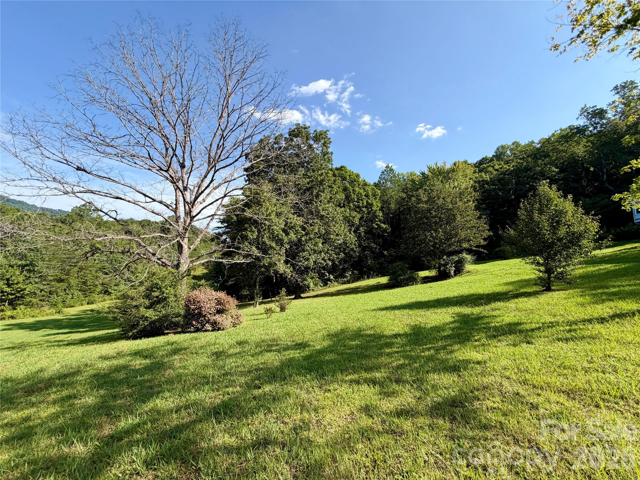 103 Farm Lane Property Photo 6
