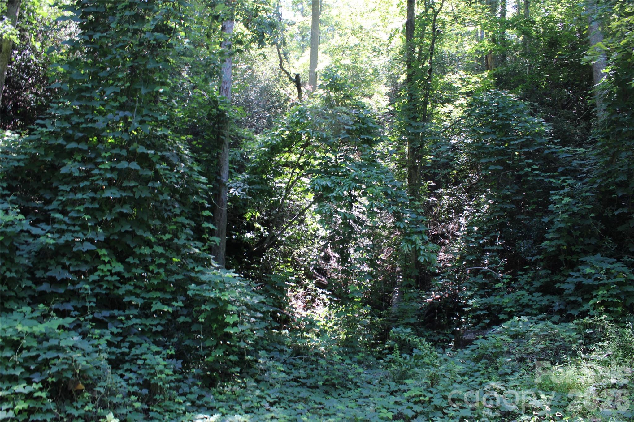 00 Sparrows Way Property Photo 3