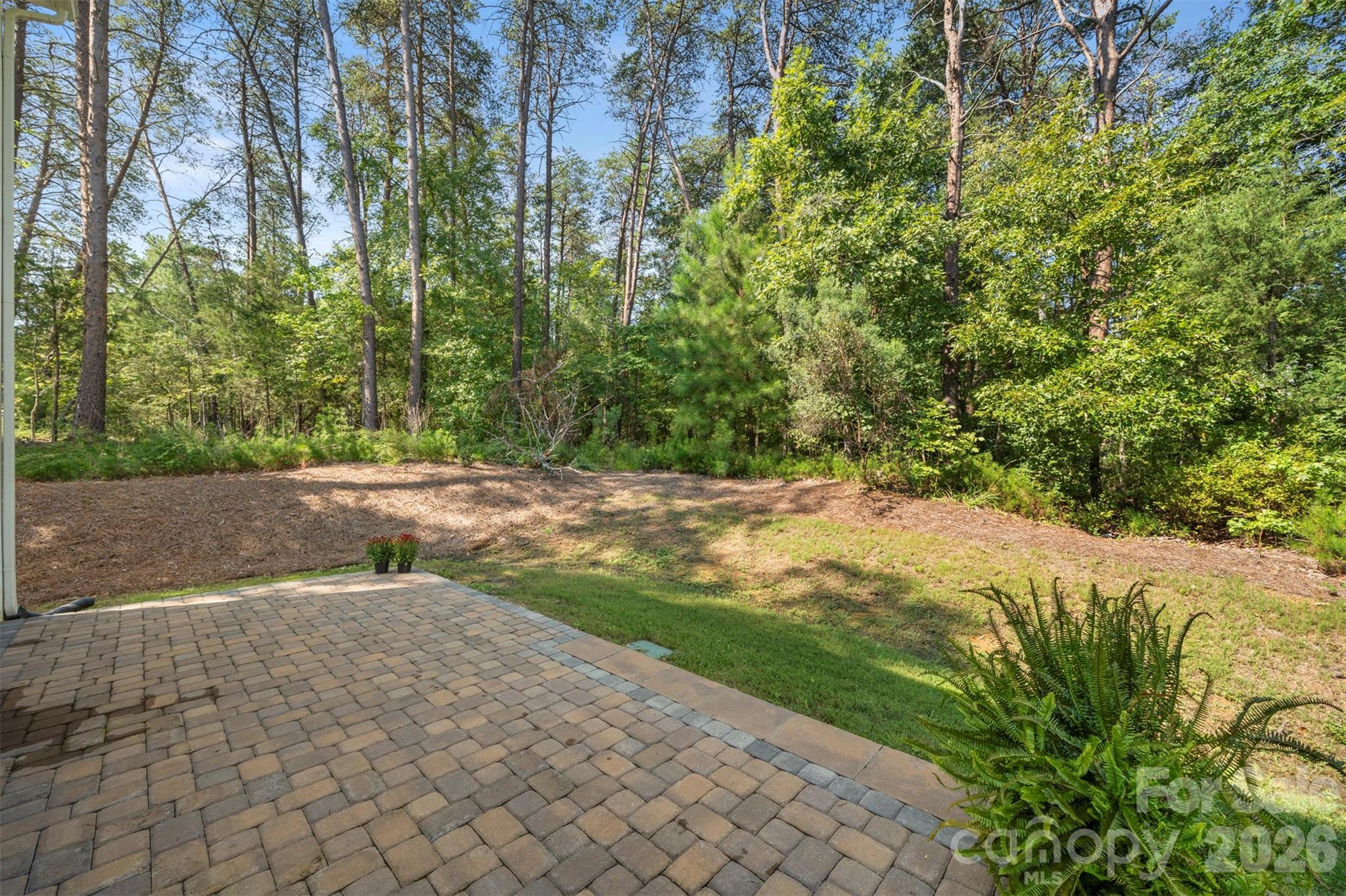 1115 Streamside Lane Property Photo 37