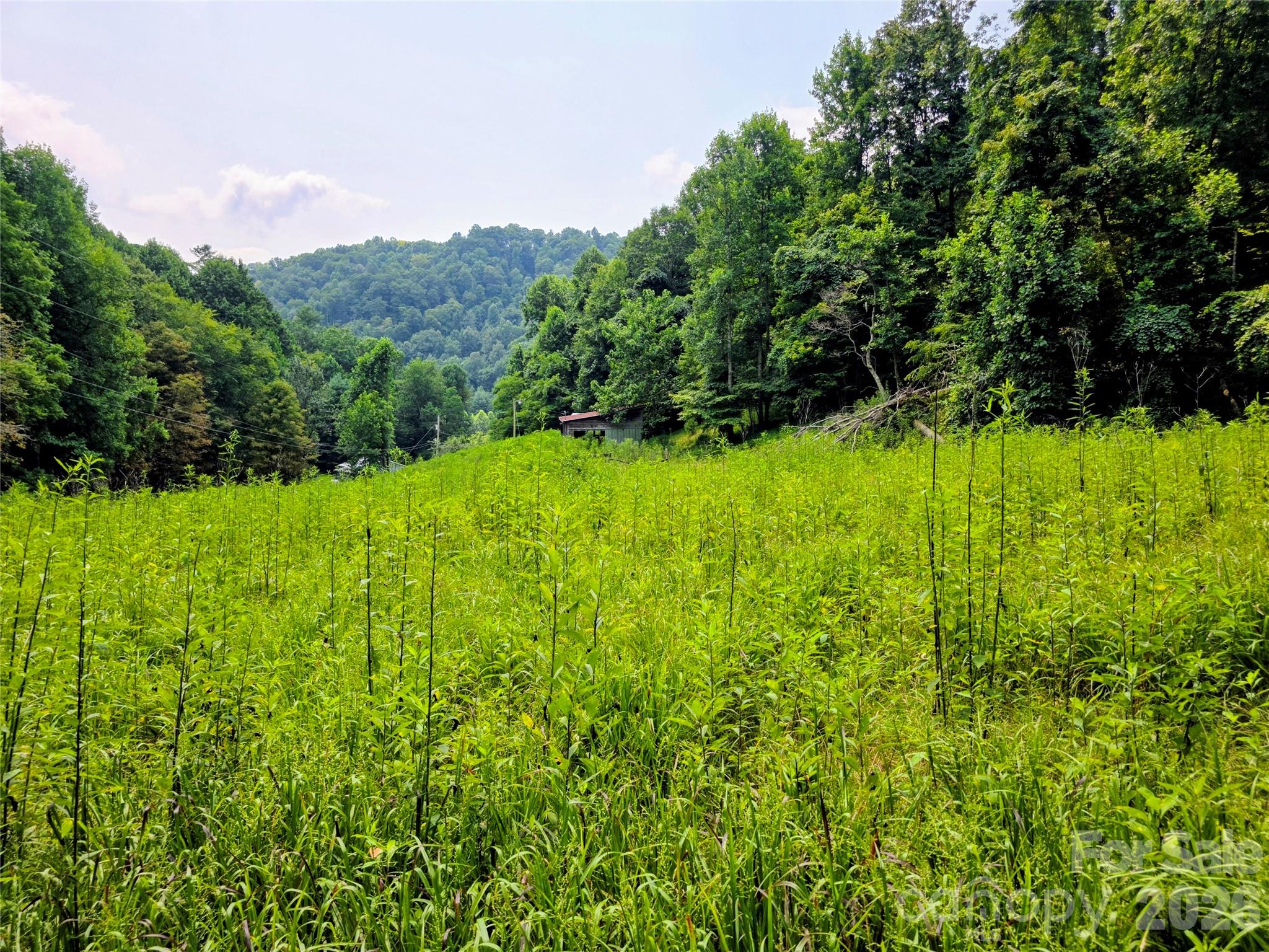 98 Will Wilson Road Property Photo 1