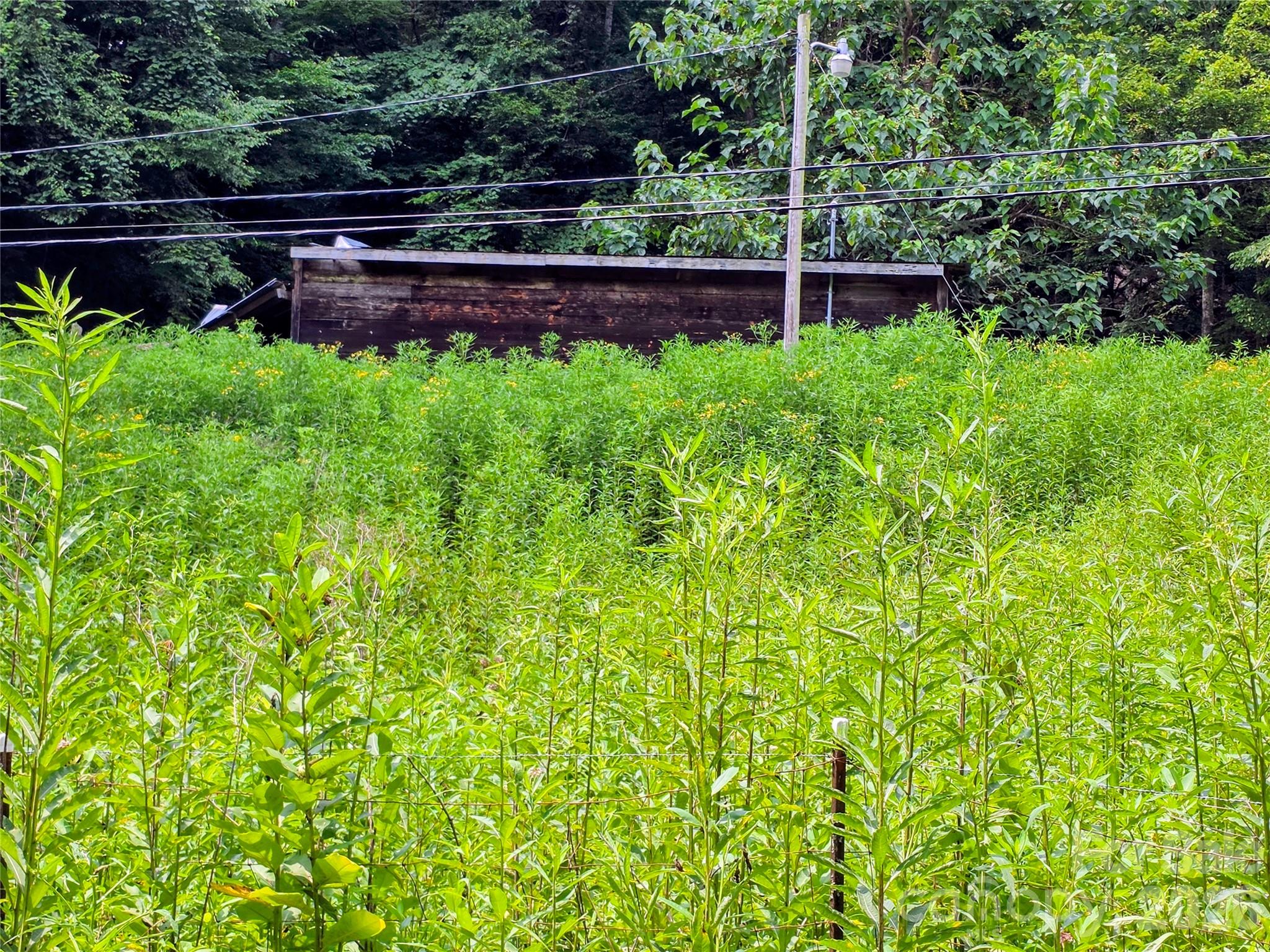 98 Will Wilson Road Property Photo 7