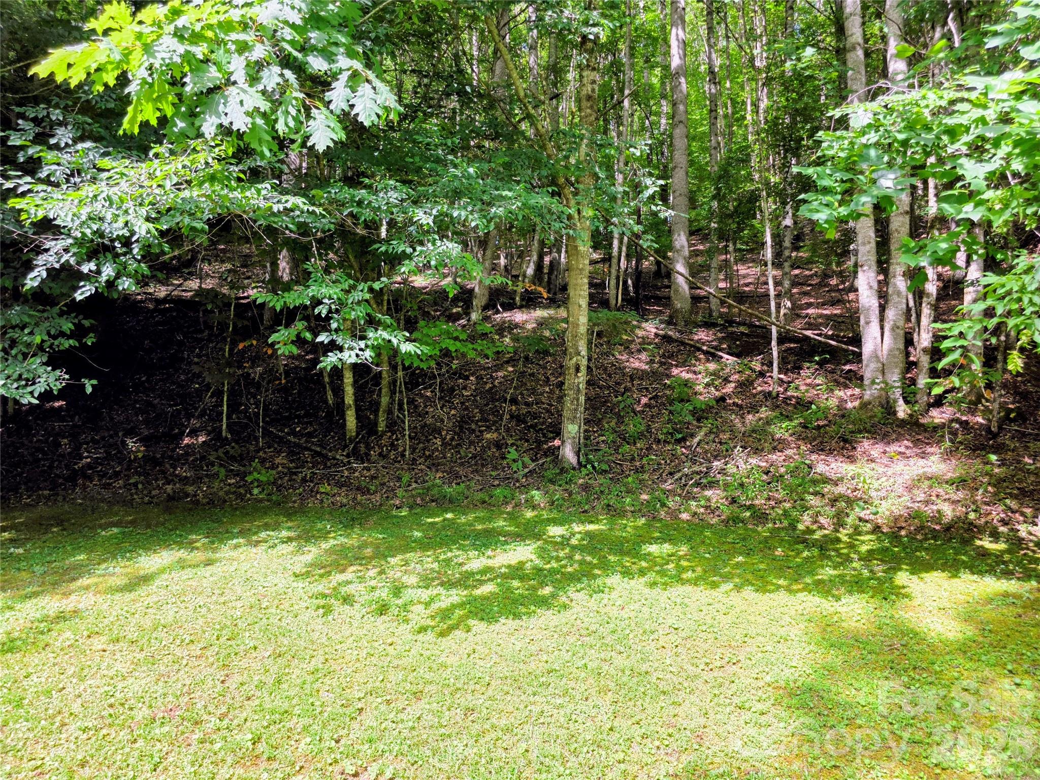 98 Will Wilson Road Property Photo 8