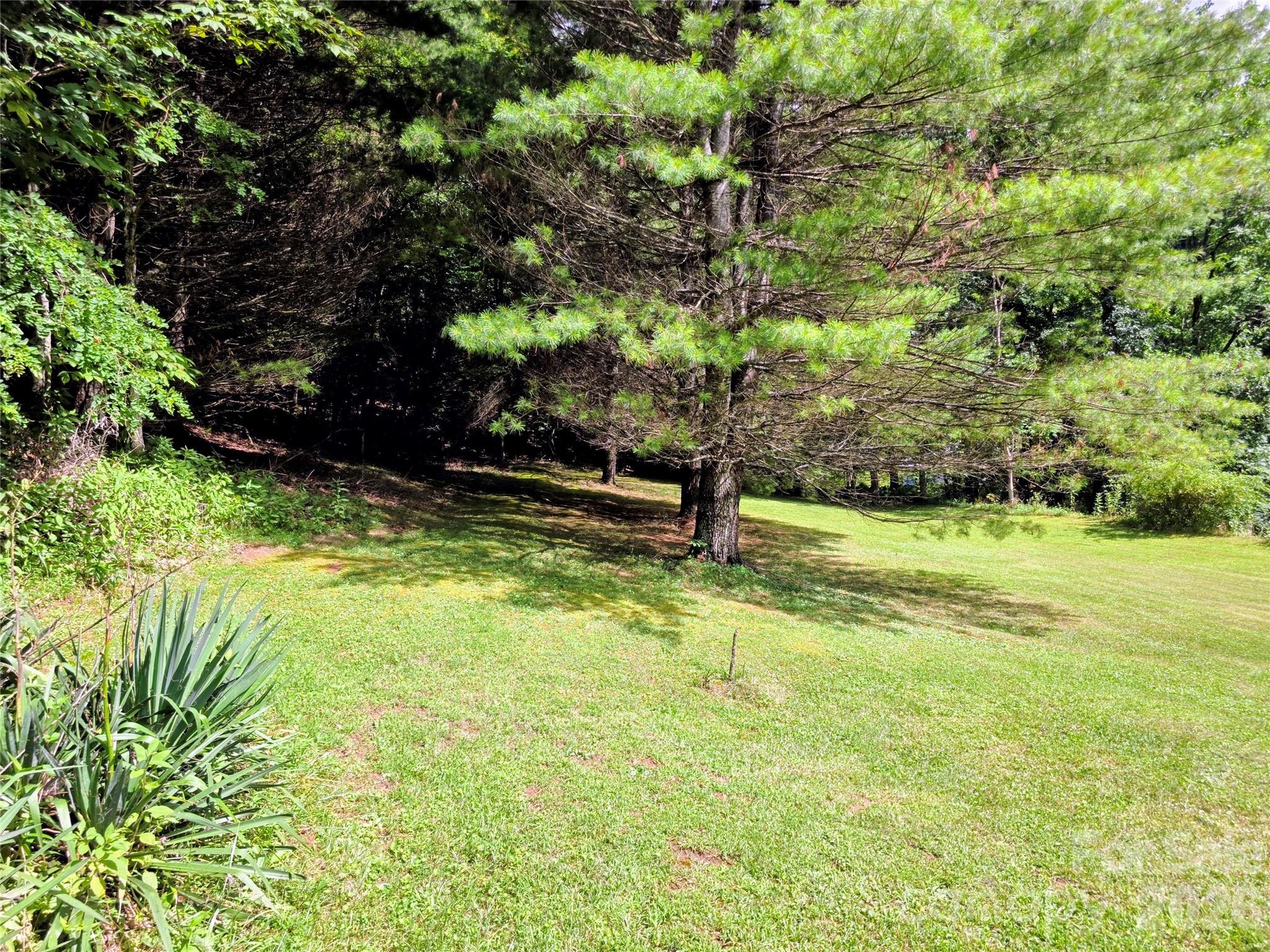 98 Will Wilson Road Property Photo 9
