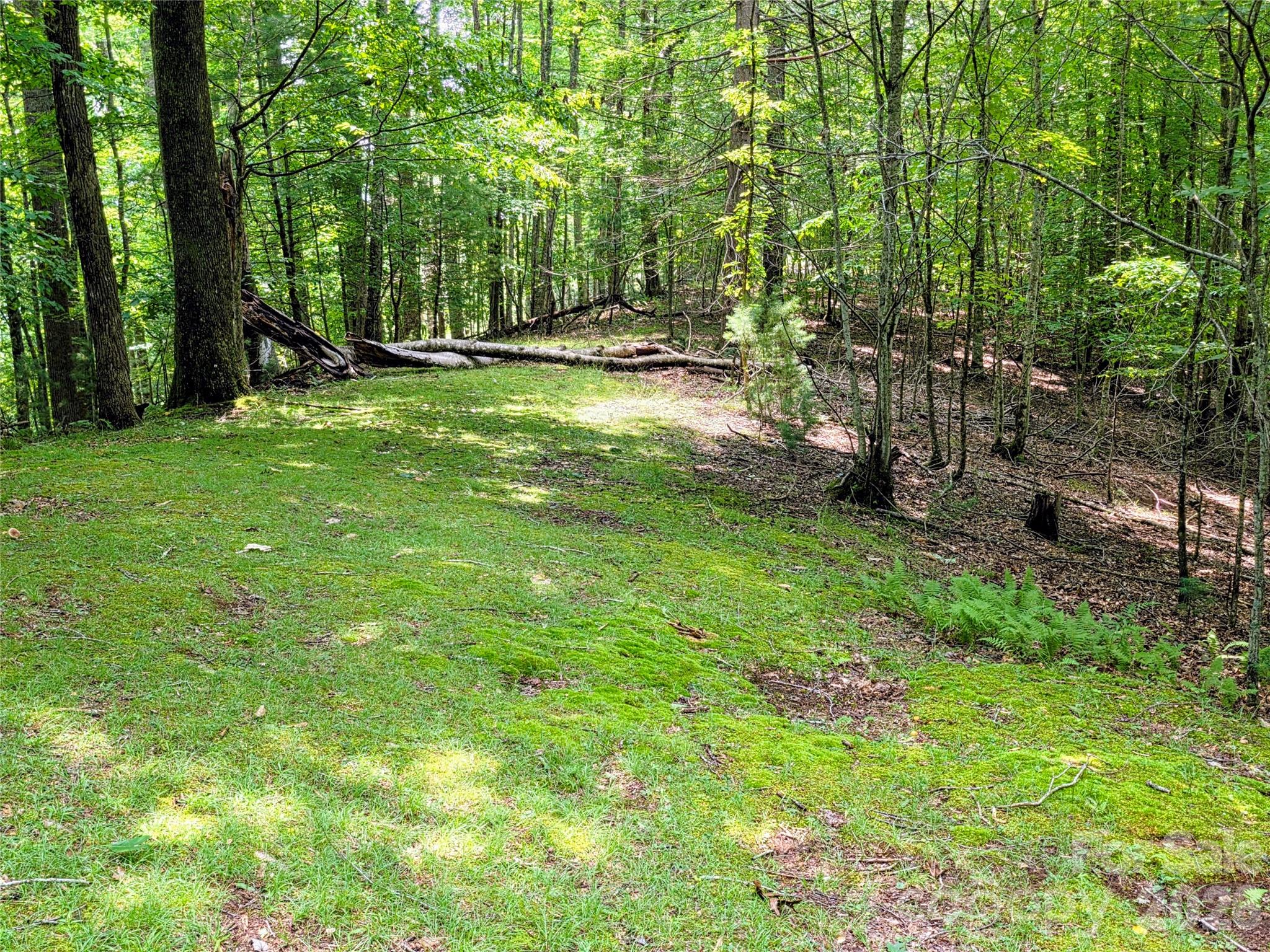 98 Will Wilson Road Property Photo 21