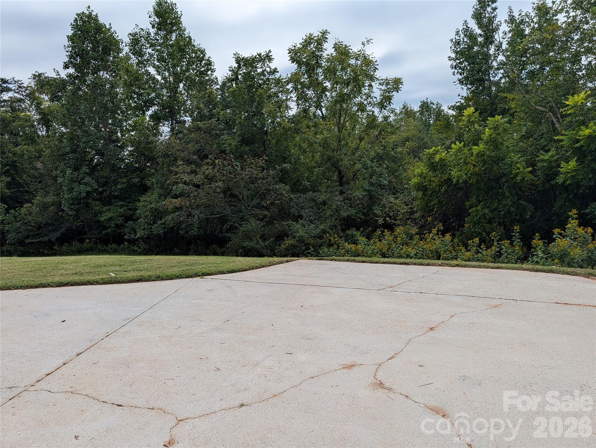 5519 Winding Oak Drive 34 Property Photo 3