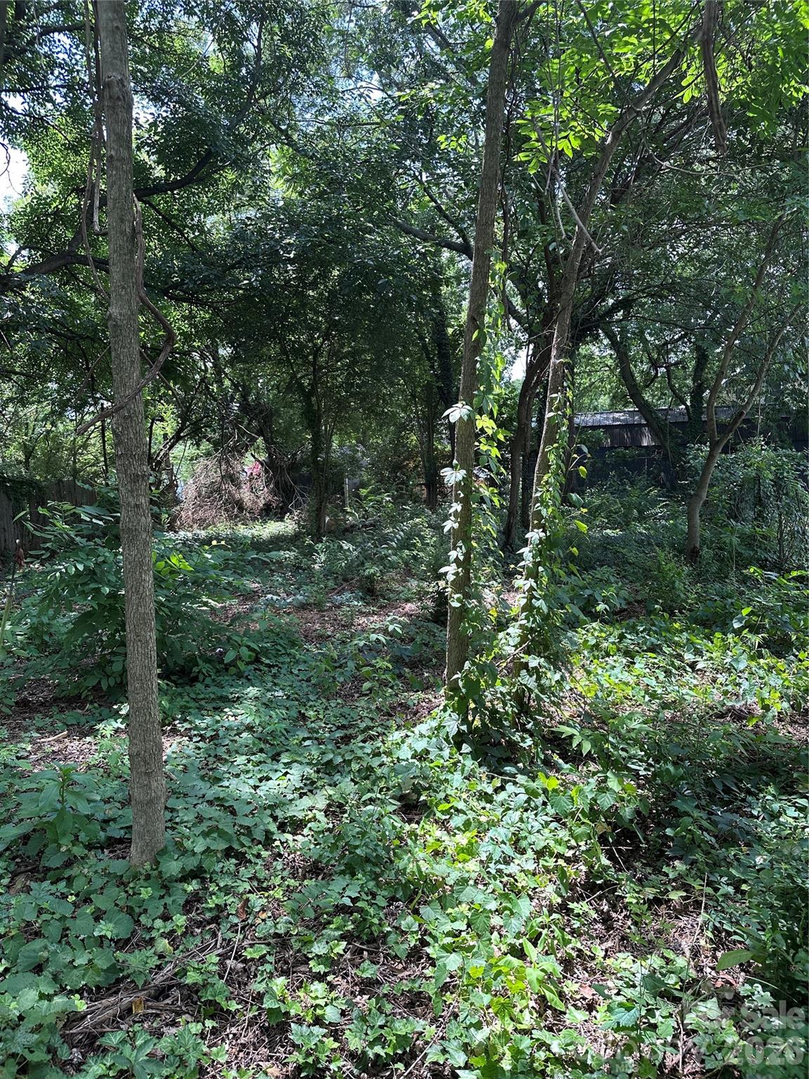 499 Leonard Road Property Photo 3