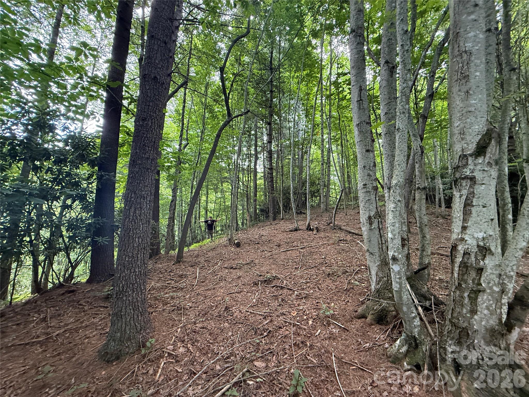 99999 Walking Horse Trail Property Photo 33