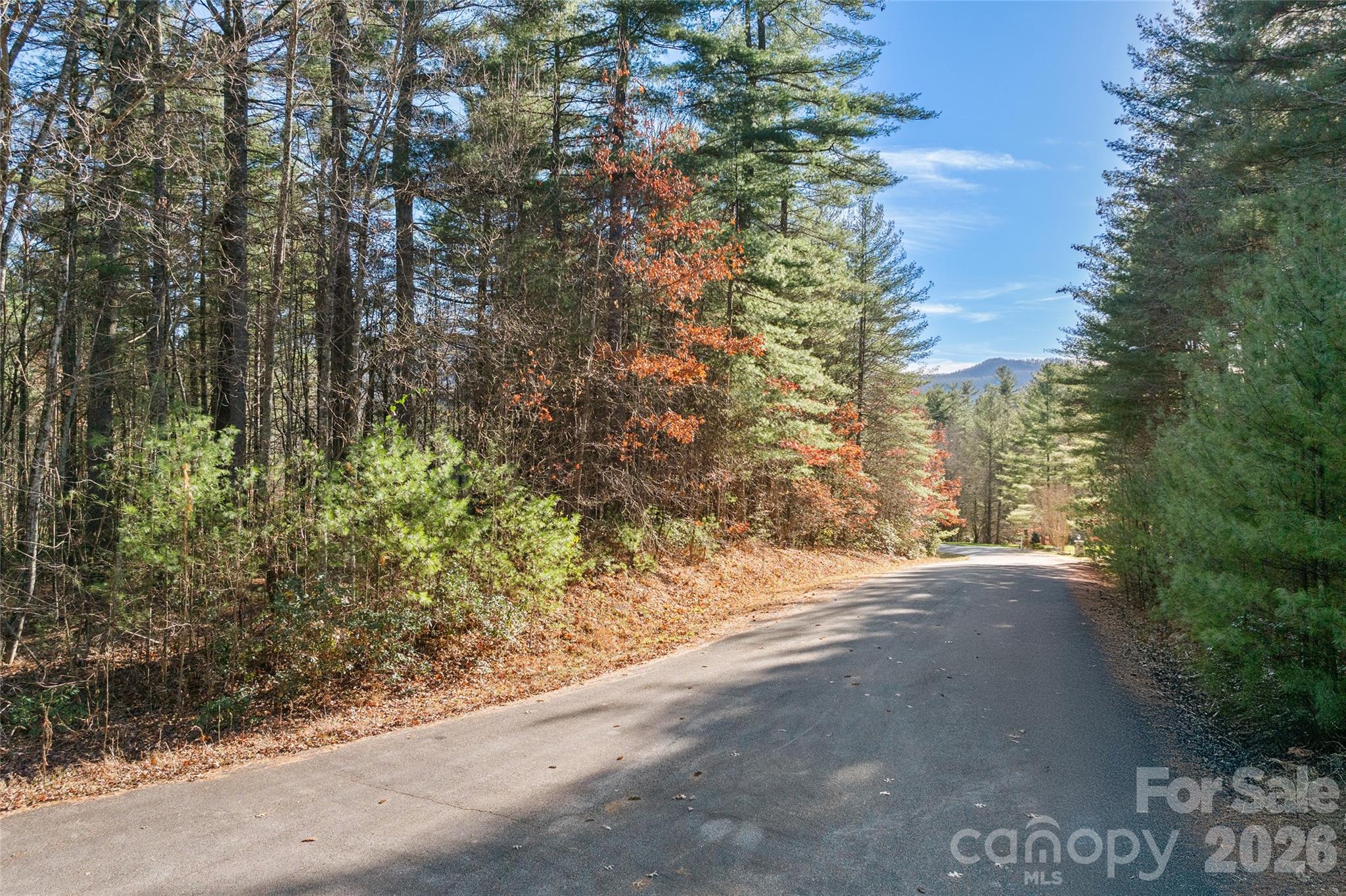 0 Daylily Drive Lot 20 Property Photo 2
