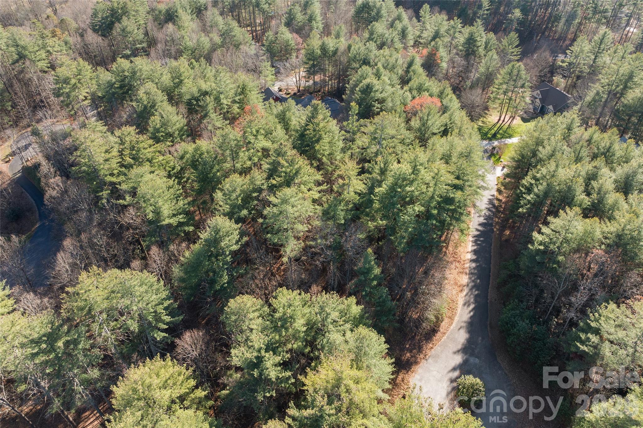 0 Daylily Drive Lot 20 Property Photo 3