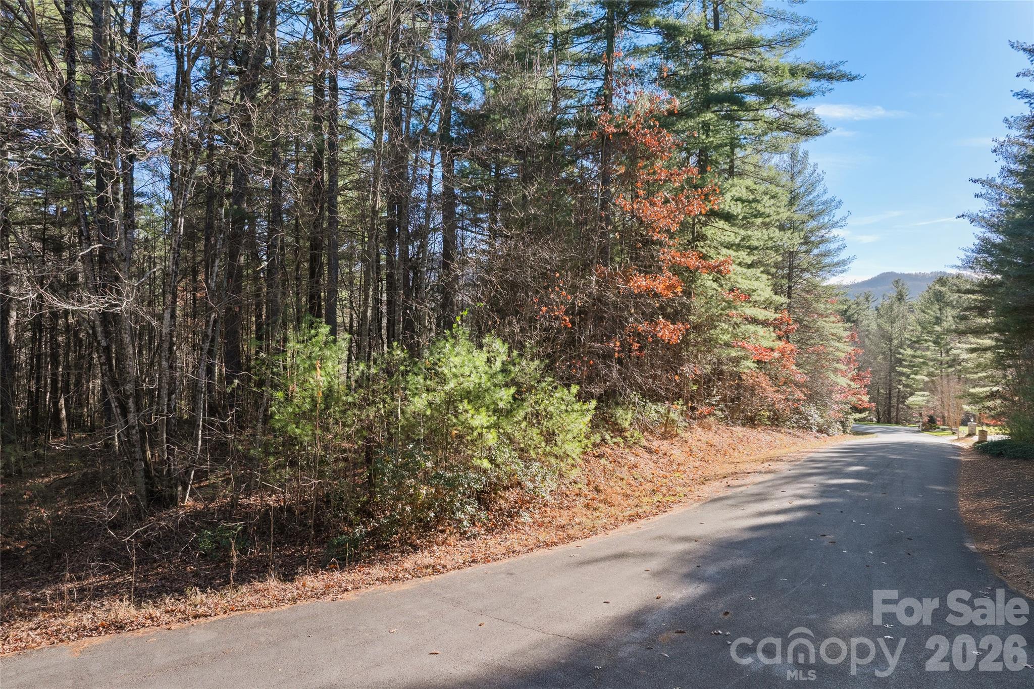 0 Daylily Drive Lot 20 Property Photo 4