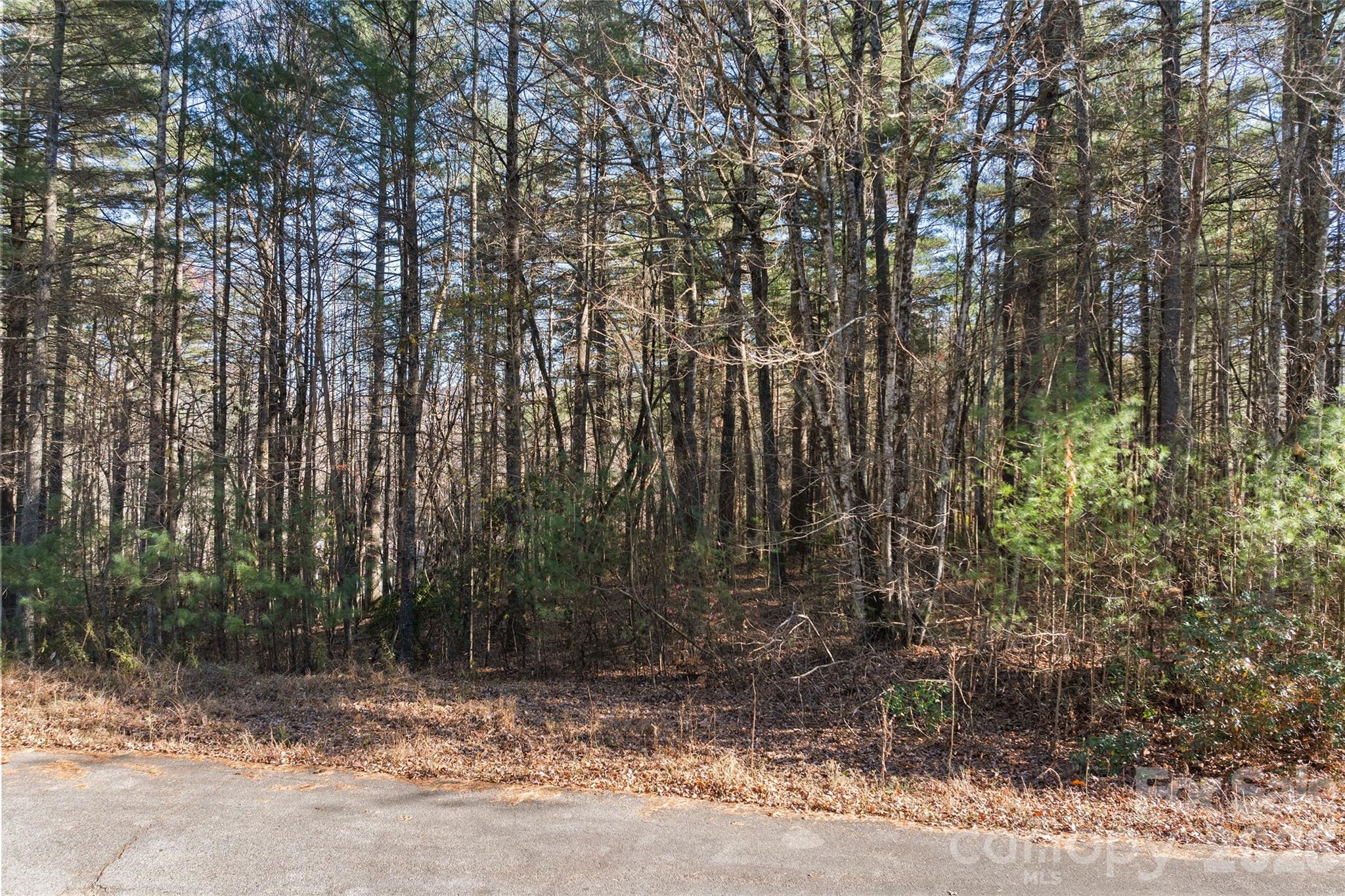 0 Daylily Drive Lot 20 Property Photo 7