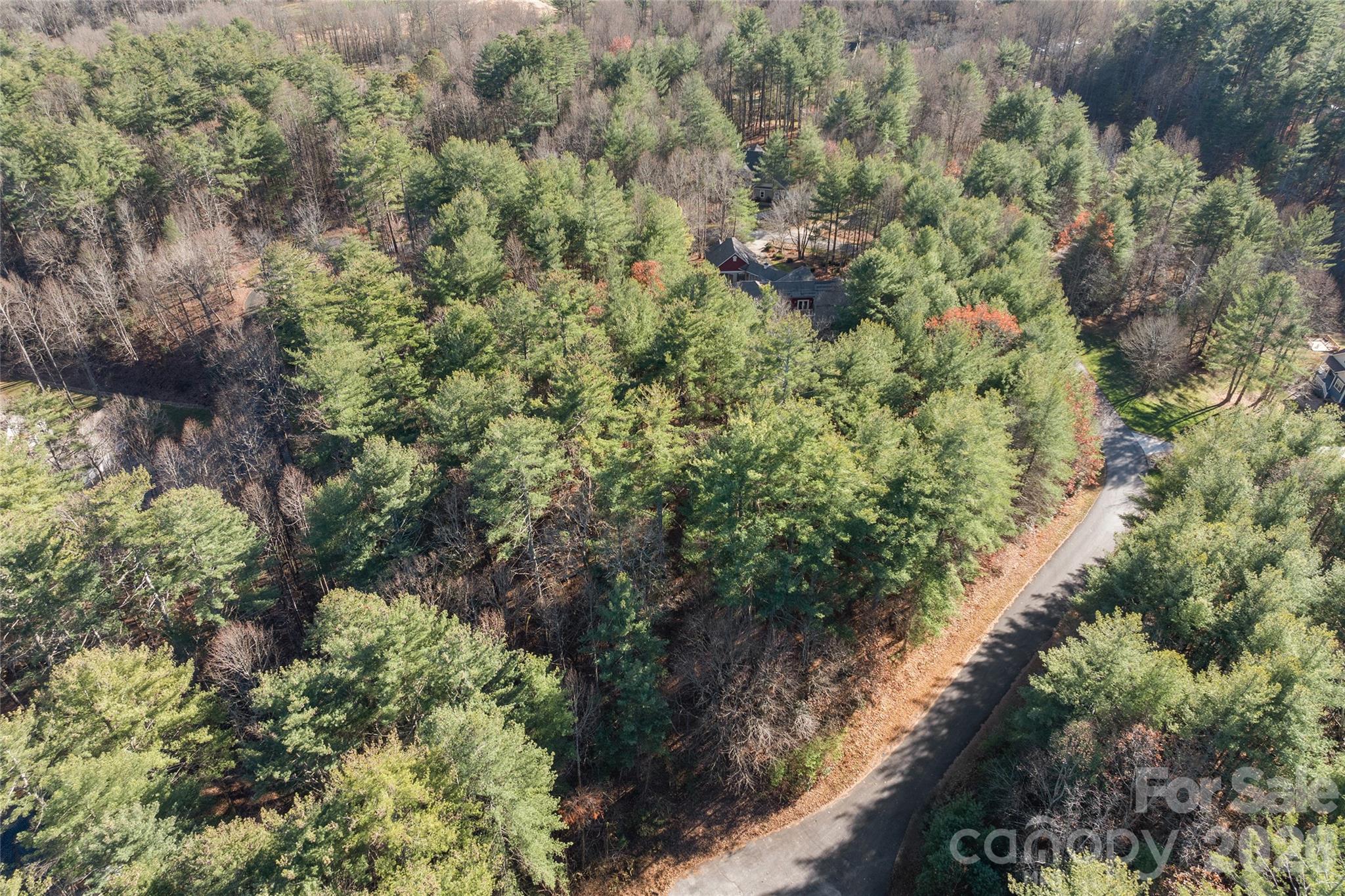 0 Daylily Drive Lot 20 Property Photo 9