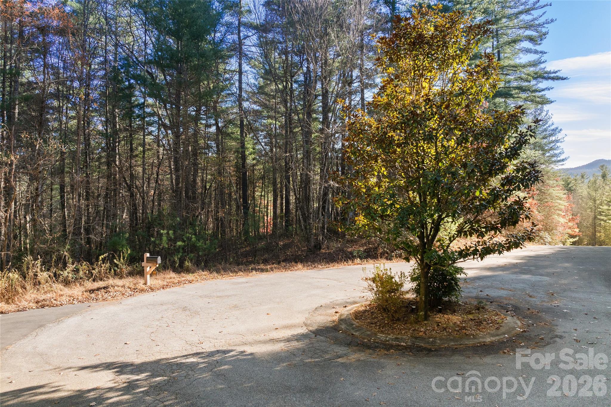 0 Daylily Drive Lot 20 Property Photo 10