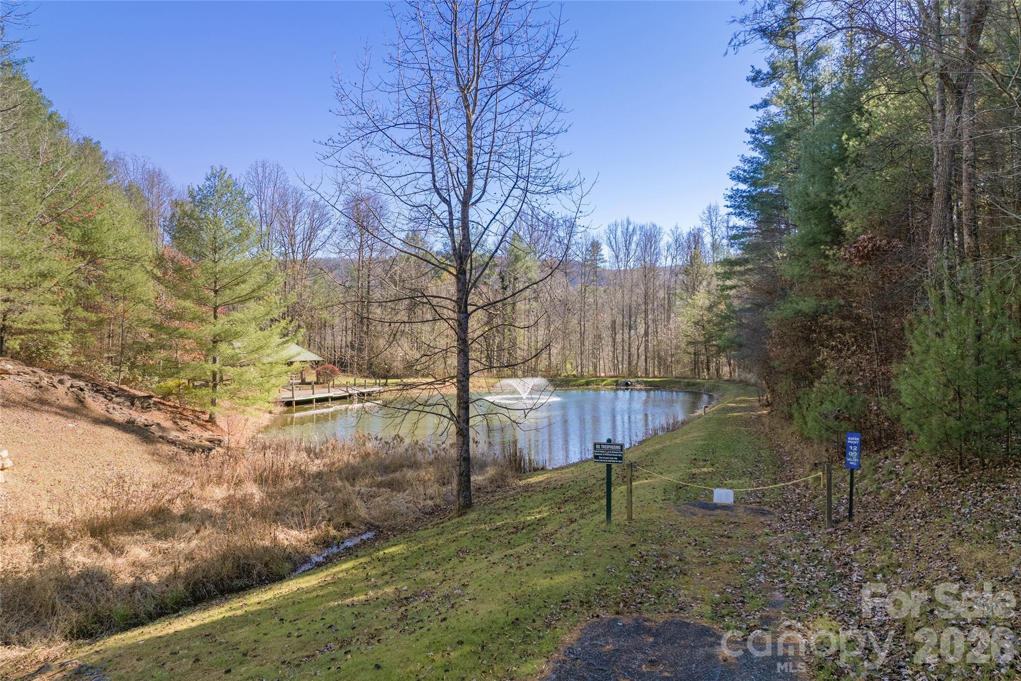 0 Daylily Drive Lot 20 Property Photo 11