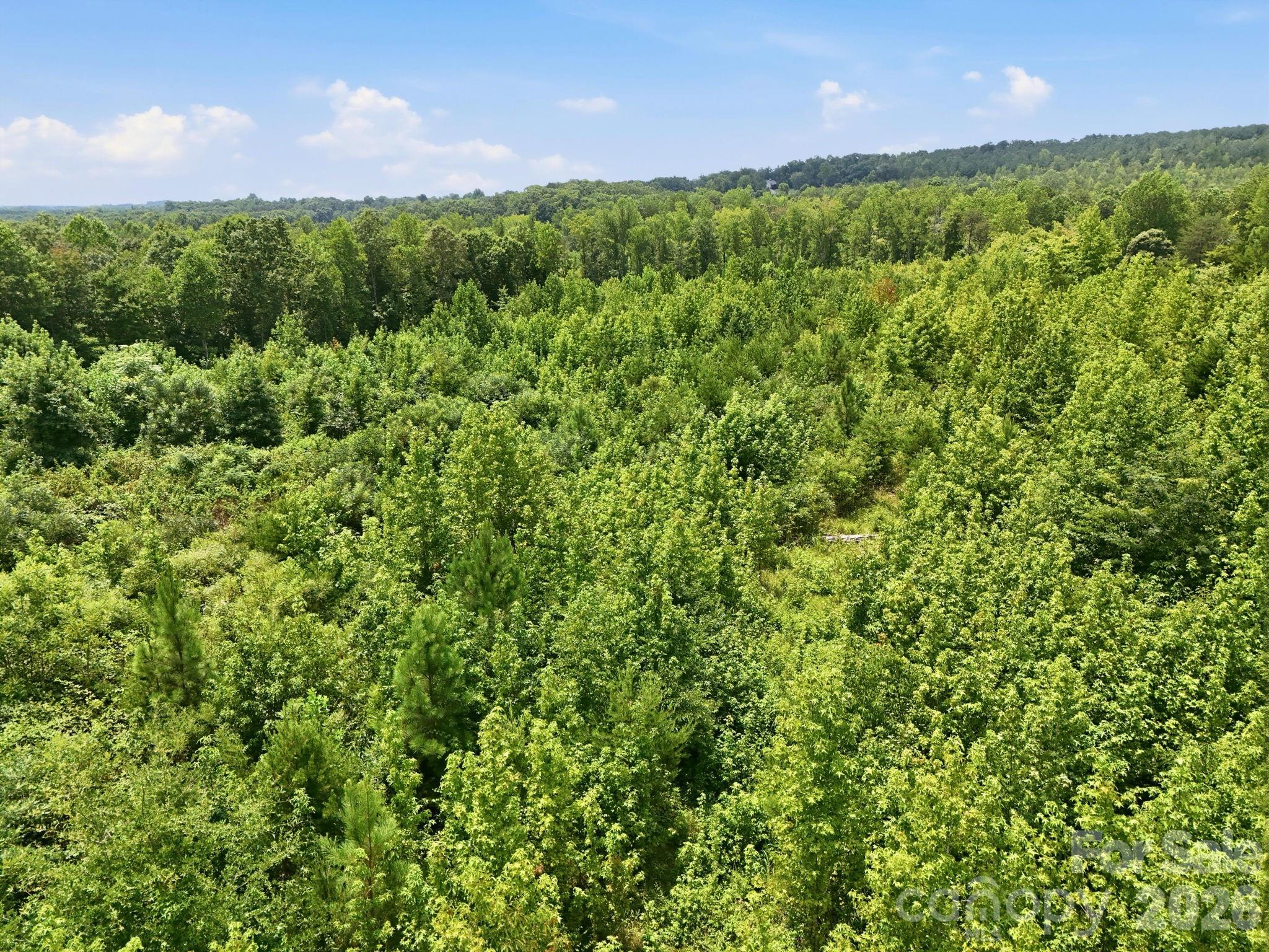 1522 Little Mountain Road Property Photo 9