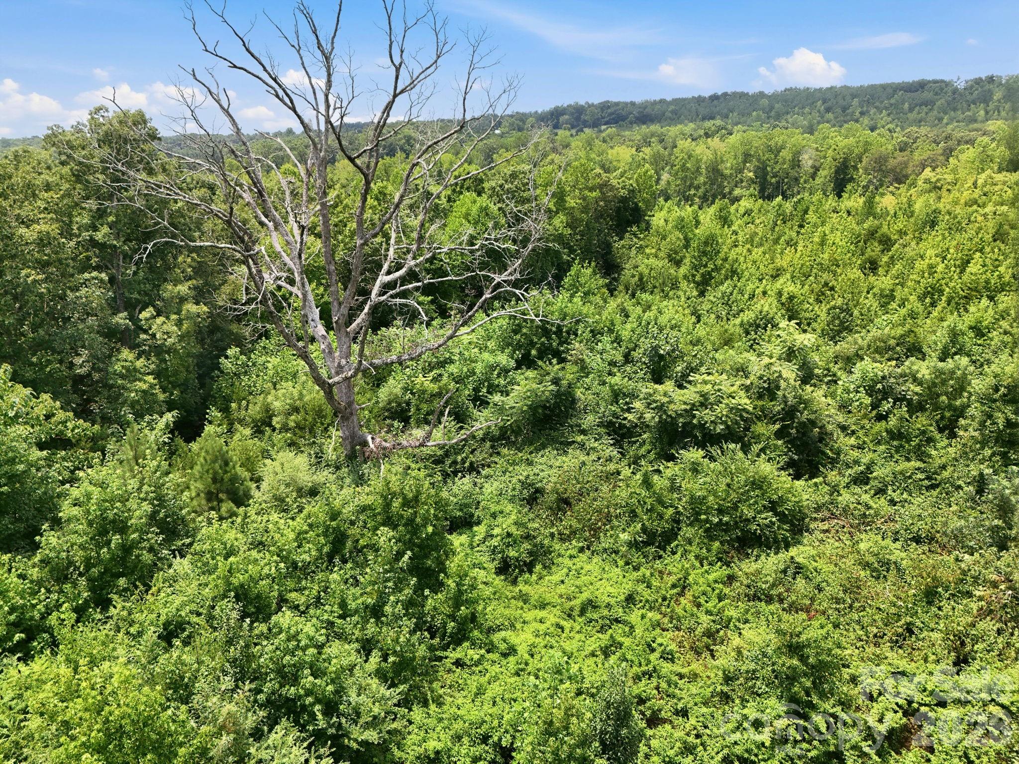 1522 Little Mountain Road Property Photo 10