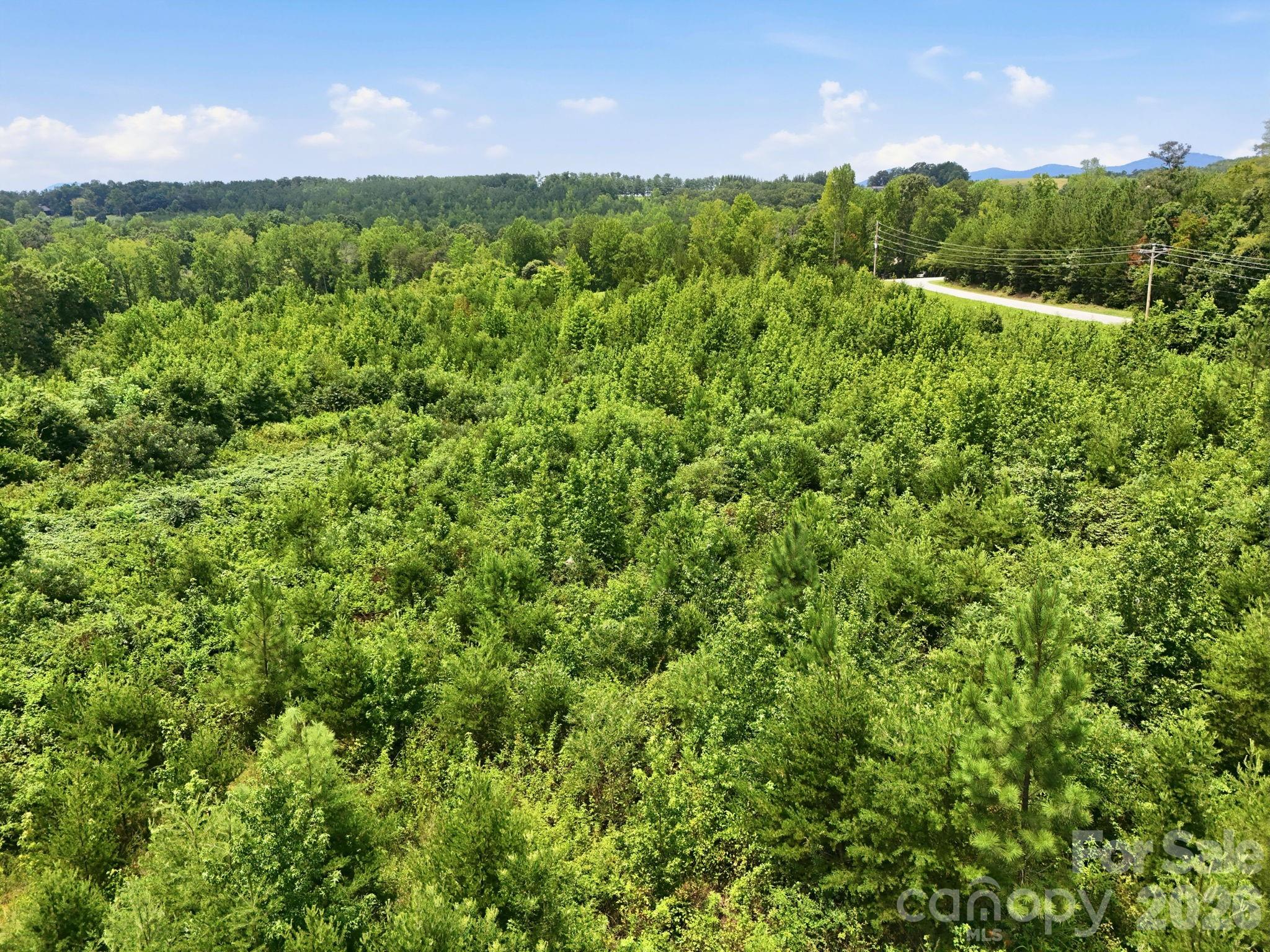 1522 Little Mountain Road Property Photo 11