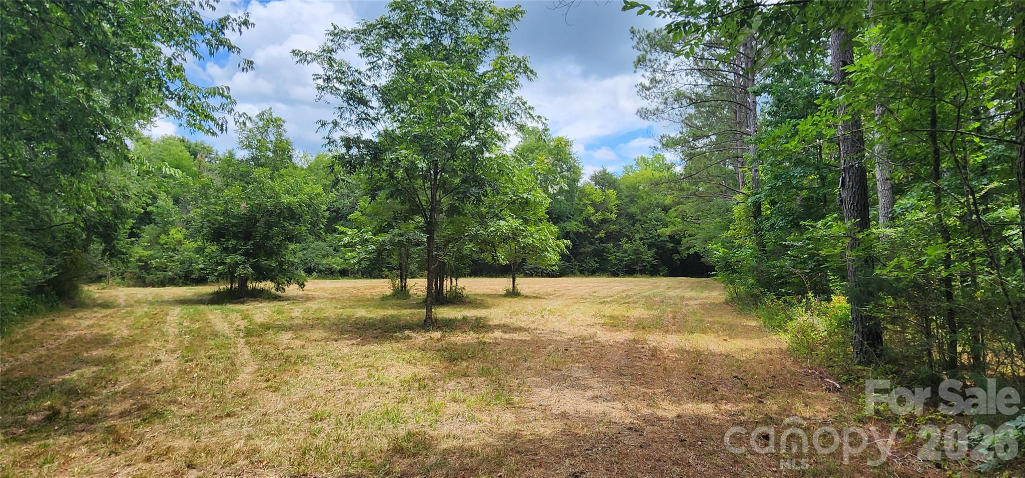 2597 Phil Grant Road Property Photo 1