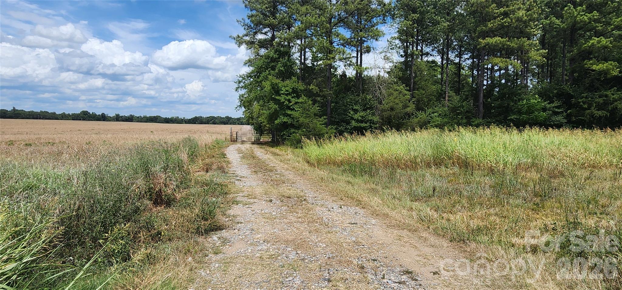 2597 Phil Grant Road Property Photo 5