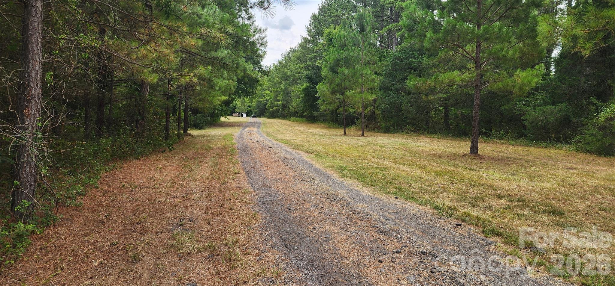 2597 Phil Grant Road Property Photo 6