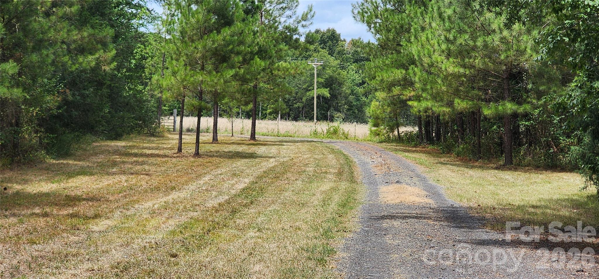 2597 Phil Grant Road Property Photo 7