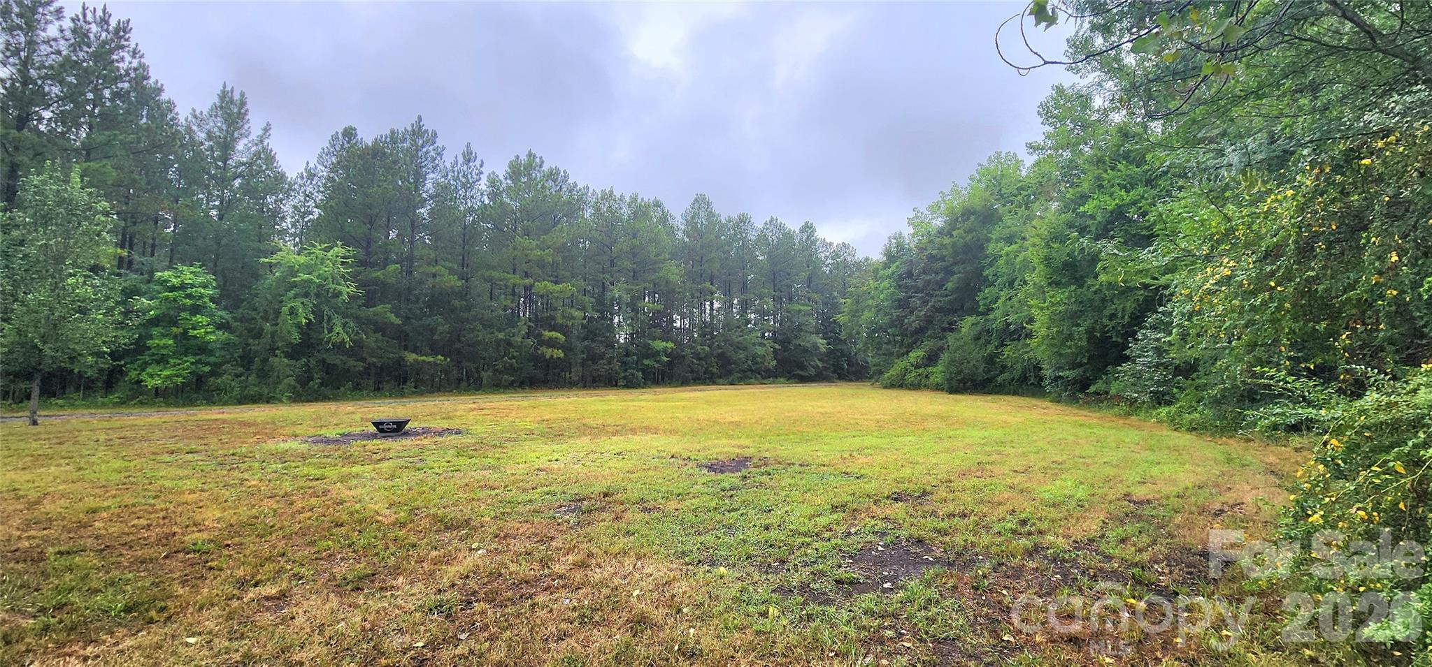 2597 Phil Grant Road Property Photo 11