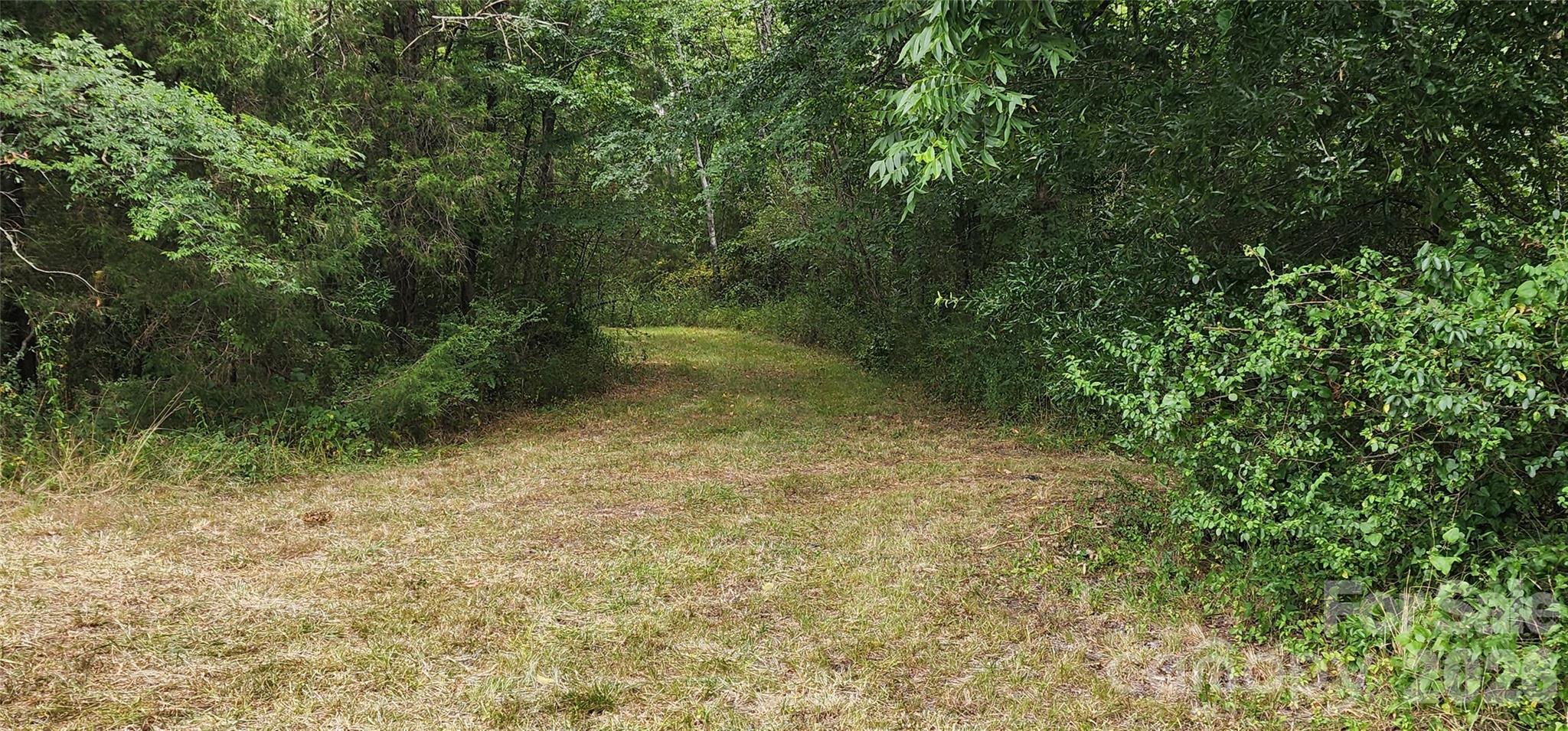 2597 Phil Grant Road Property Photo 18
