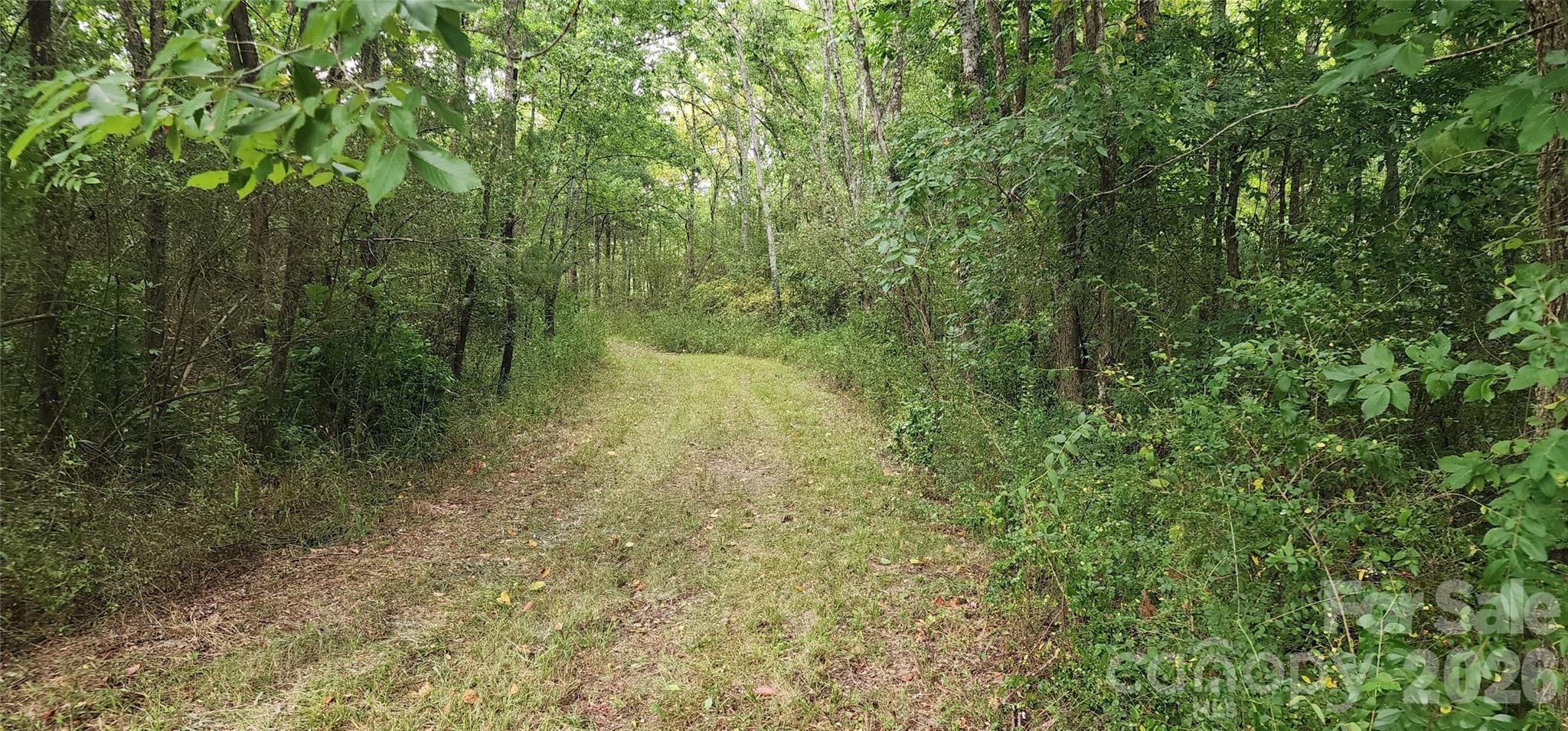 2597 Phil Grant Road Property Photo 21