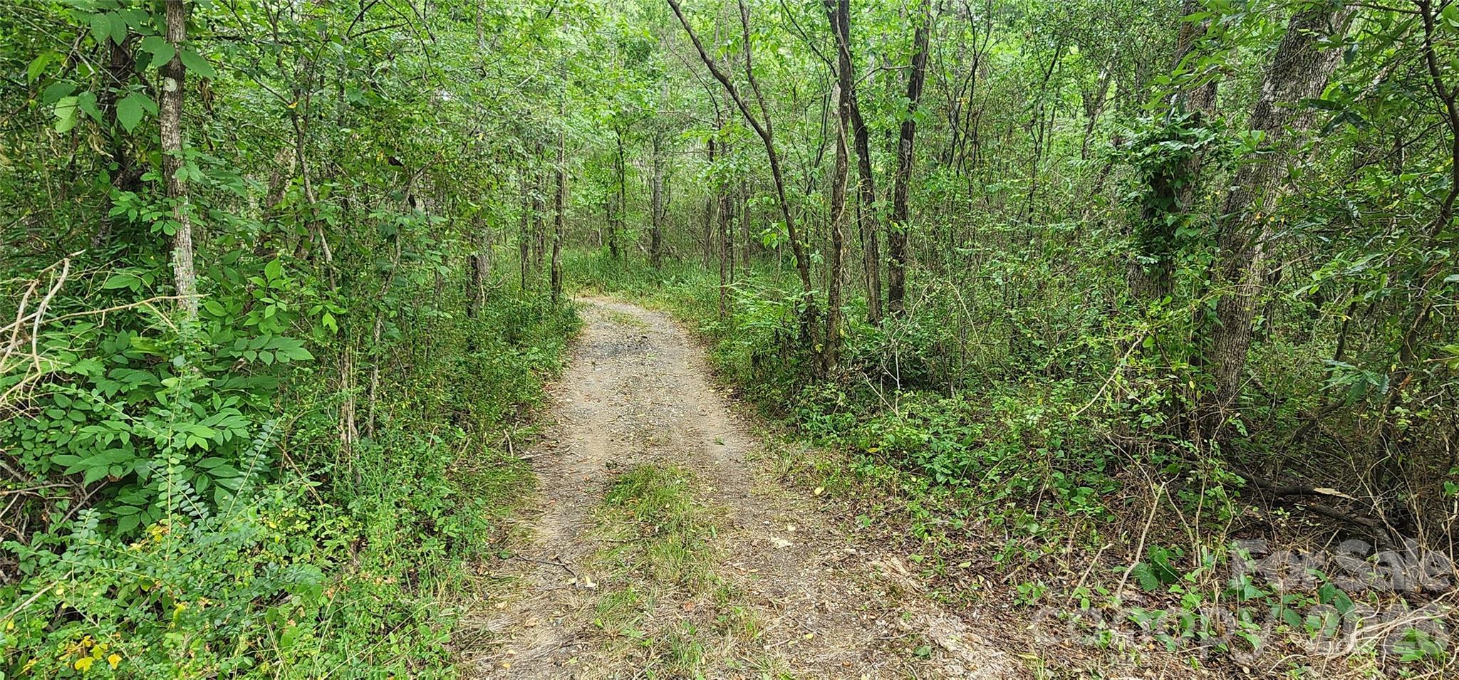 2597 Phil Grant Road Property Photo 22