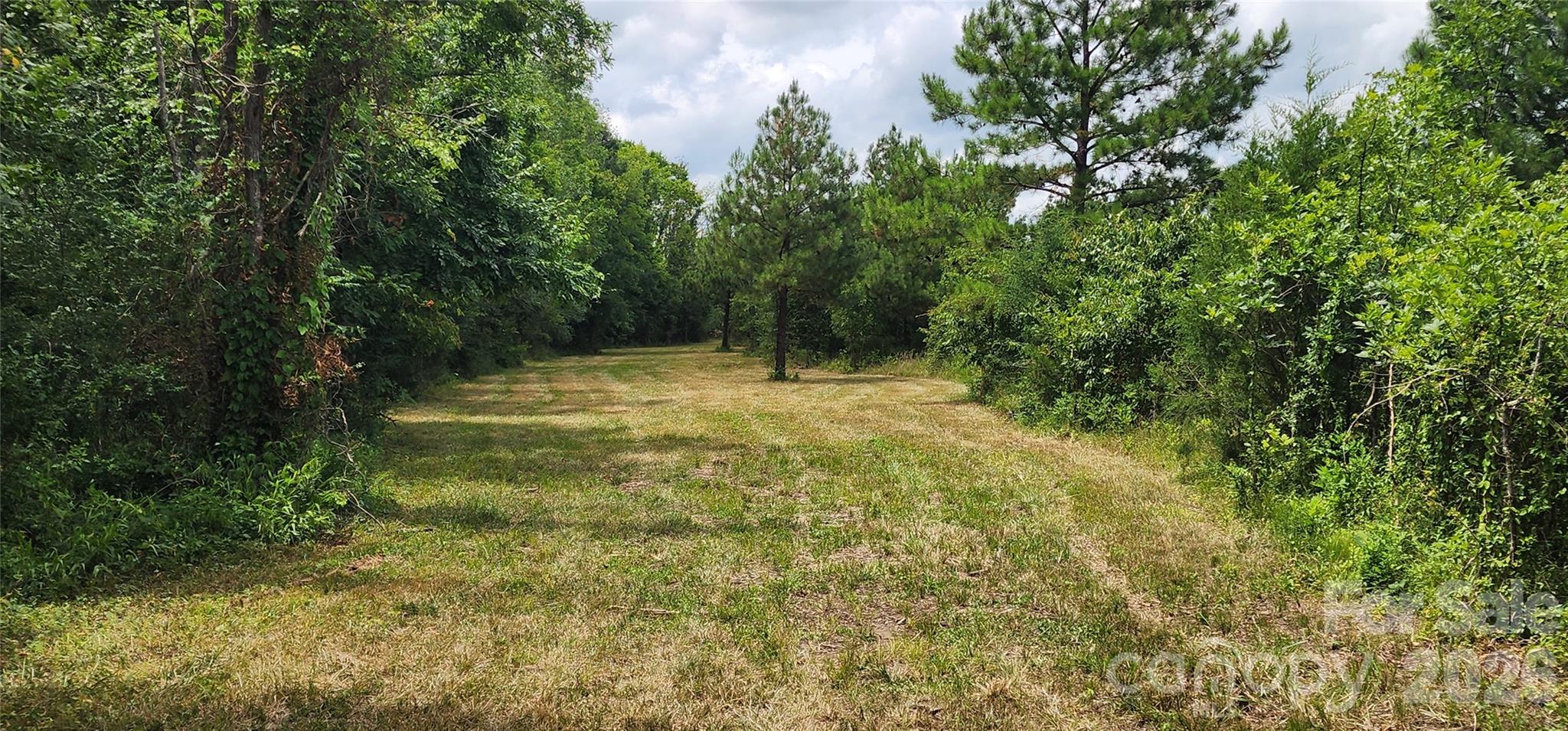 2597 Phil Grant Road Property Photo 23