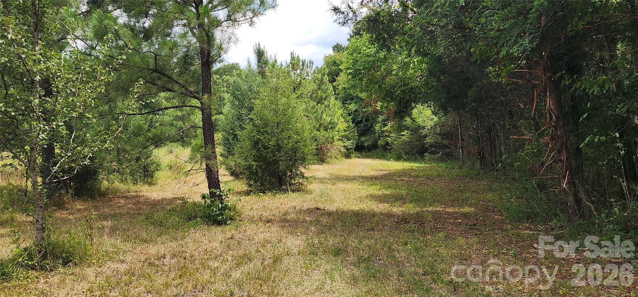 2597 Phil Grant Road Property Photo 24