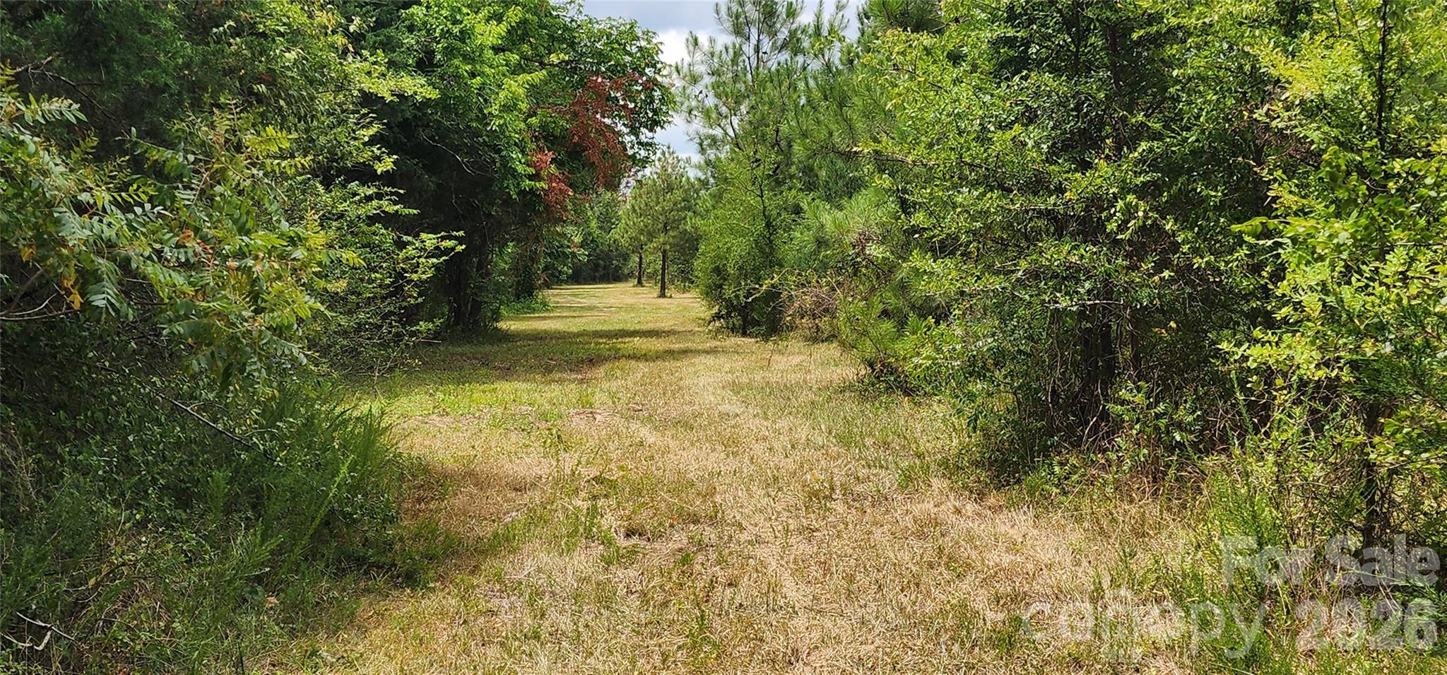 2597 Phil Grant Road Property Photo 25