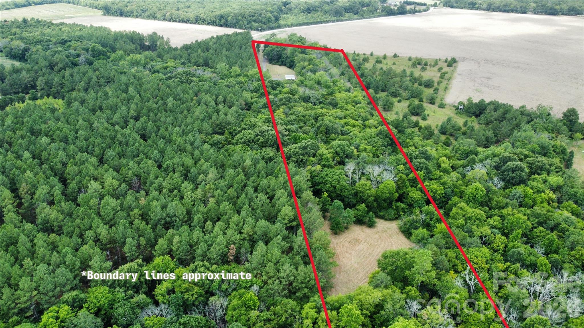 2597 Phil Grant Road Property Photo 26