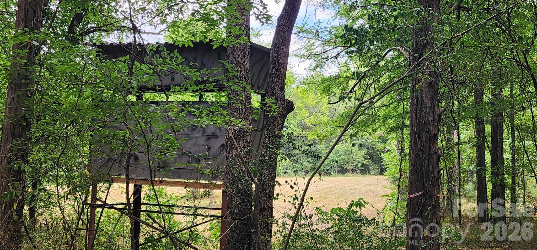 2597 Phil Grant Road Property Photo 27