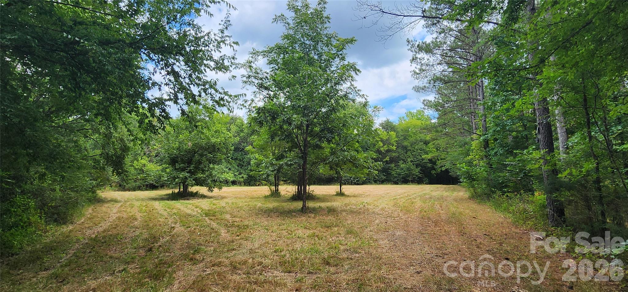 2597 Phil Grant Road Property Photo 29