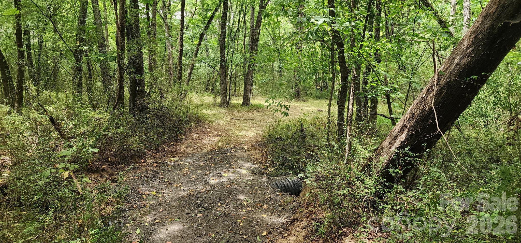 2597 Phil Grant Road Property Photo 30