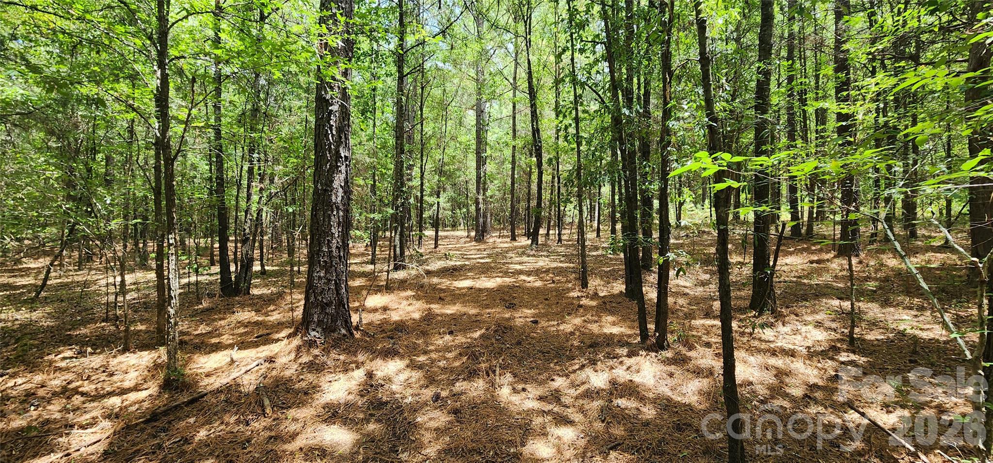 2597 Phil Grant Road Property Photo 31