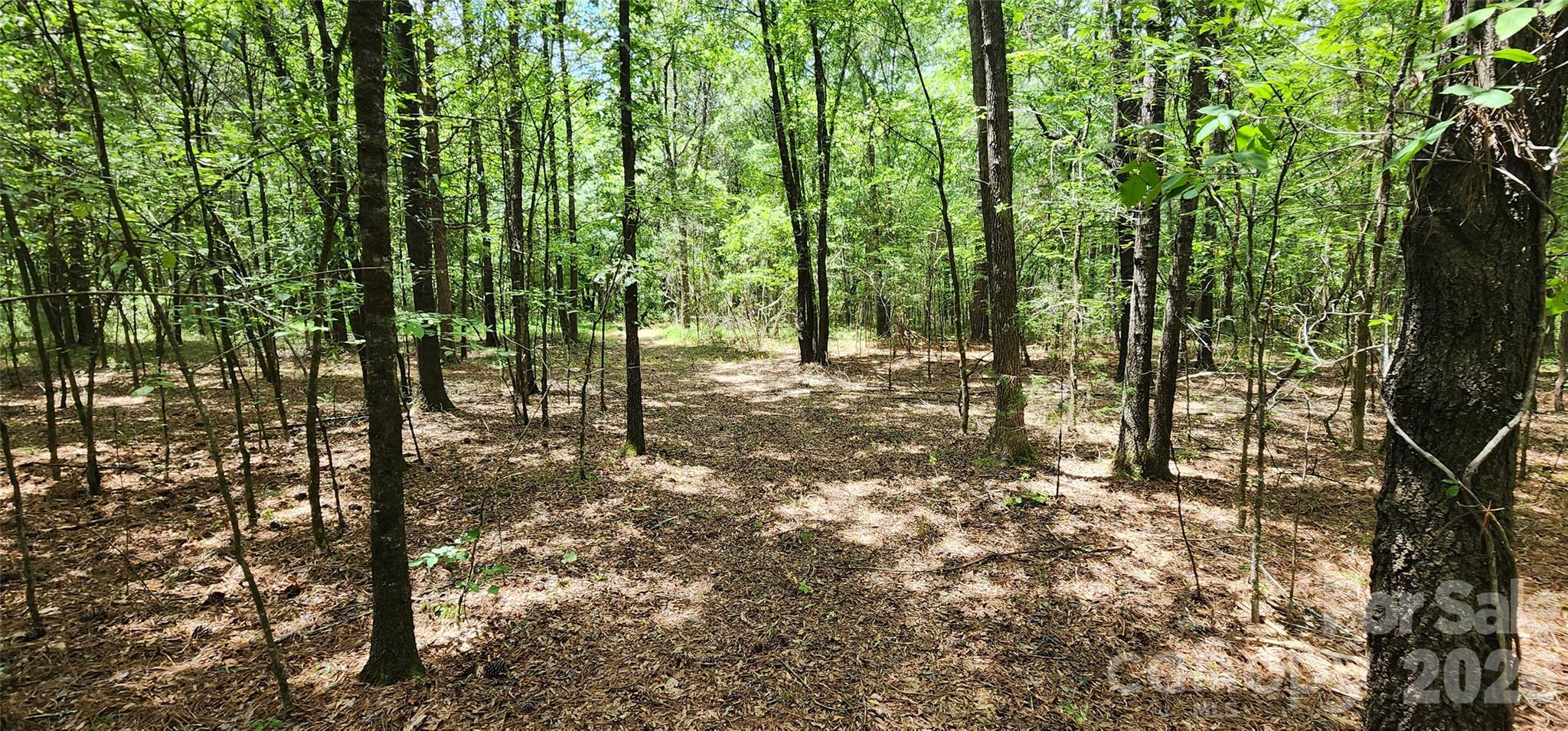 2597 Phil Grant Road Property Photo 32