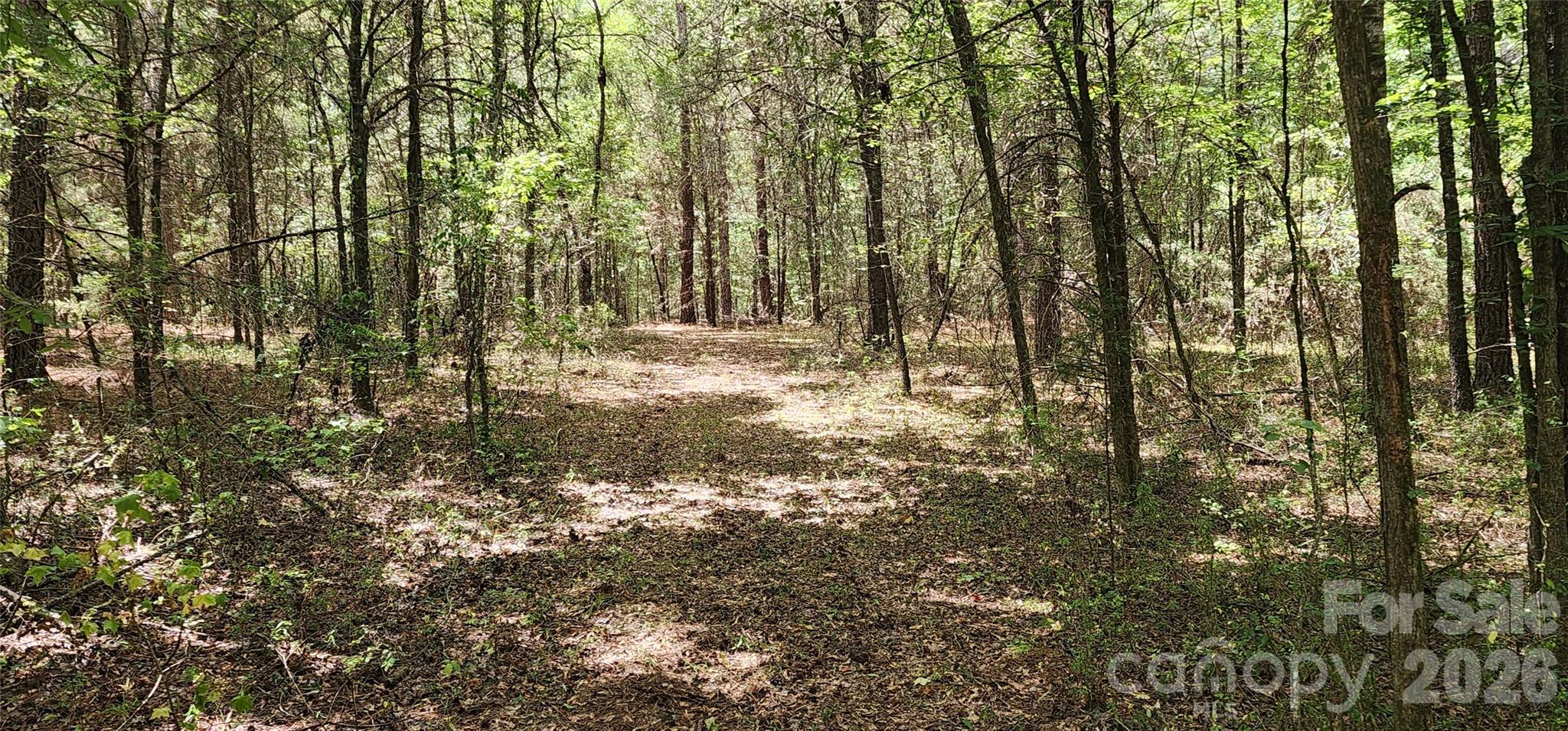 2597 Phil Grant Road Property Photo 33
