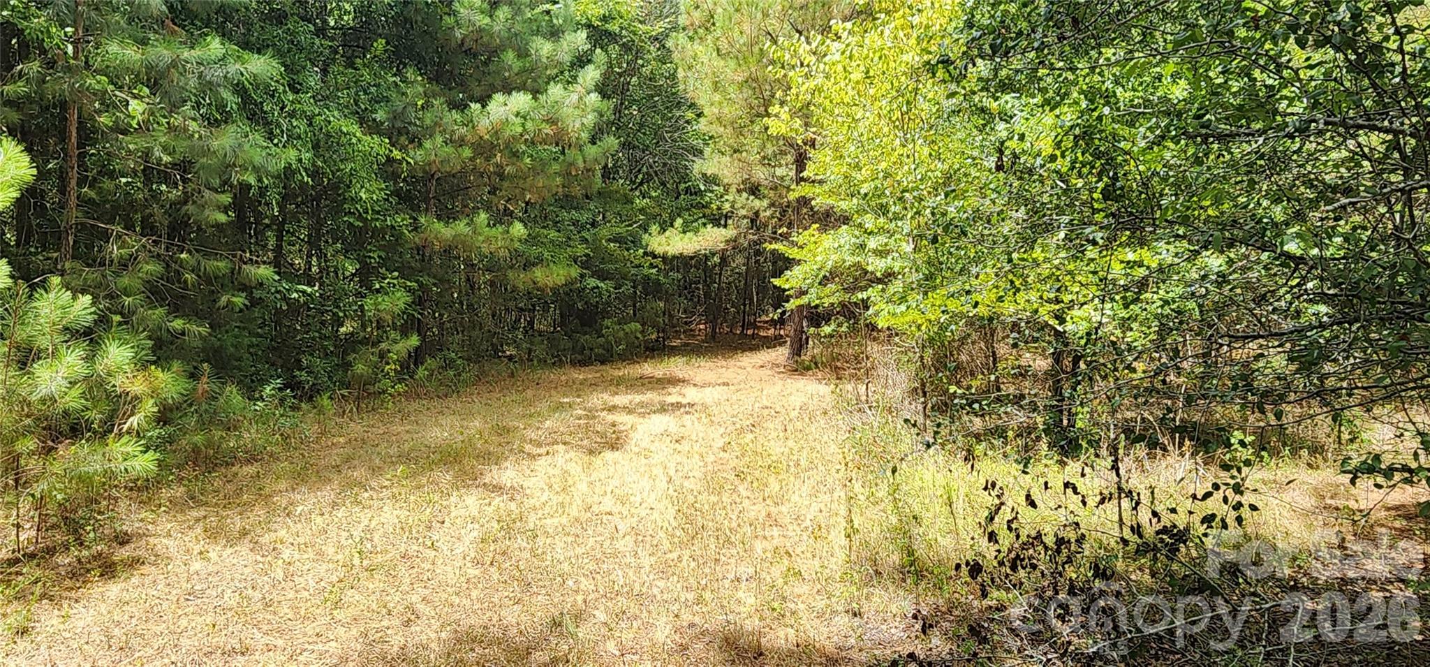 2597 Phil Grant Road Property Photo 34