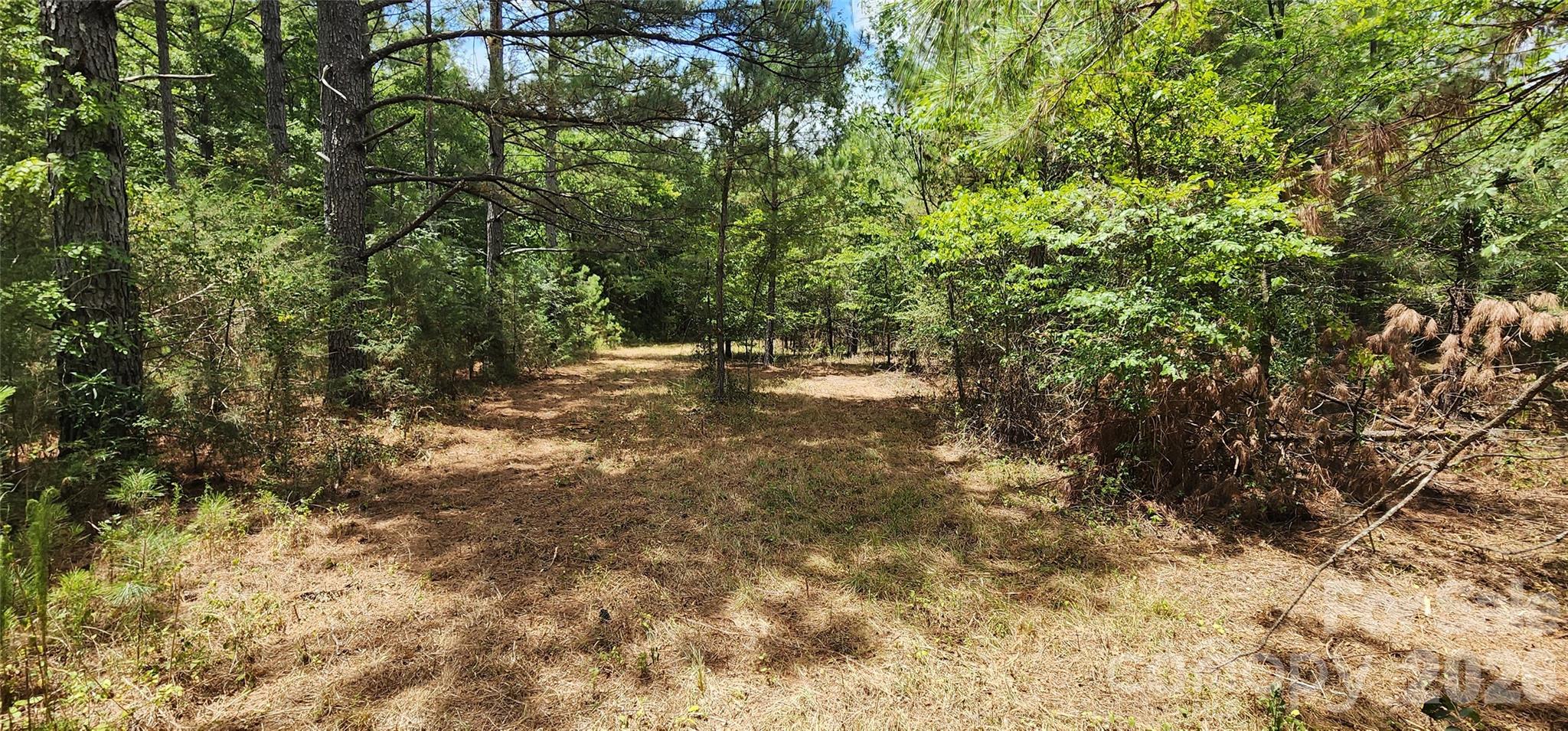 2597 Phil Grant Road Property Photo 35