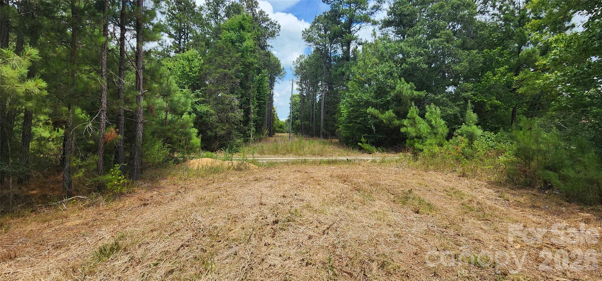 2597 Phil Grant Road Property Photo 36