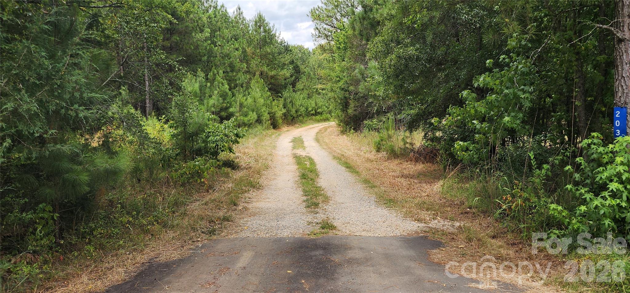 2597 Phil Grant Road Property Photo 37