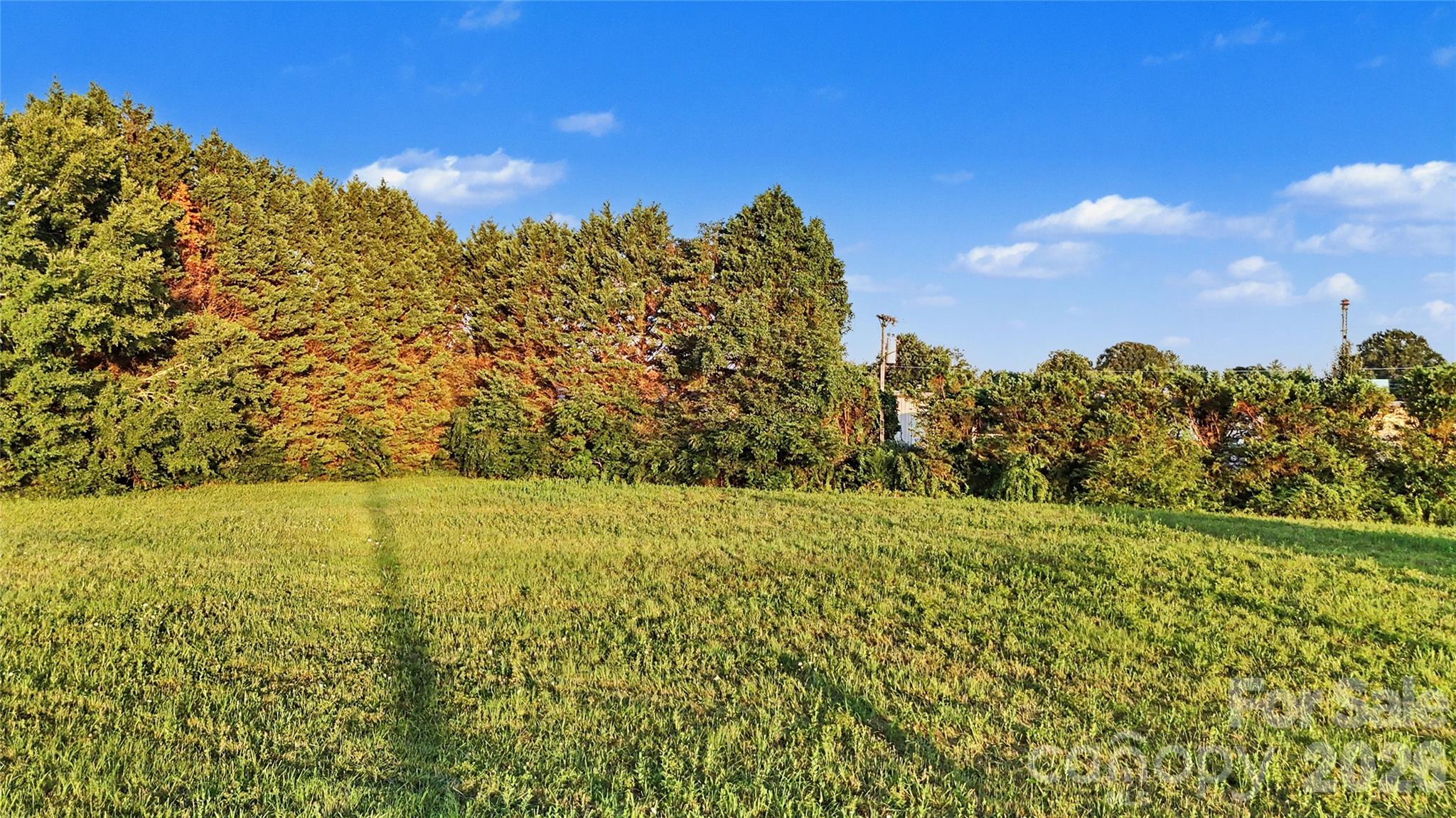 1229 Island Ford Road Property Photo 4