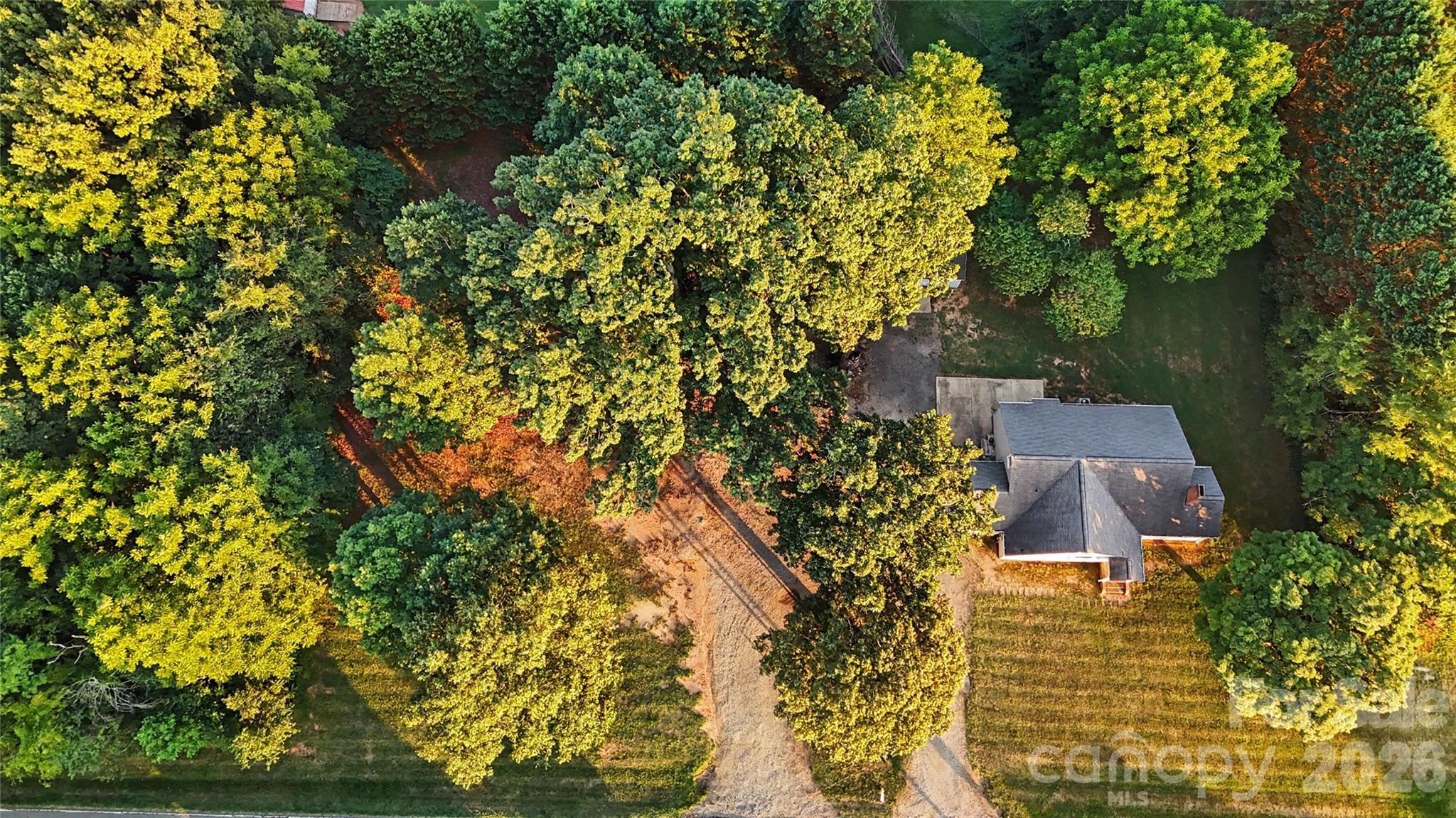 1229 Island Ford Road Property Photo 14