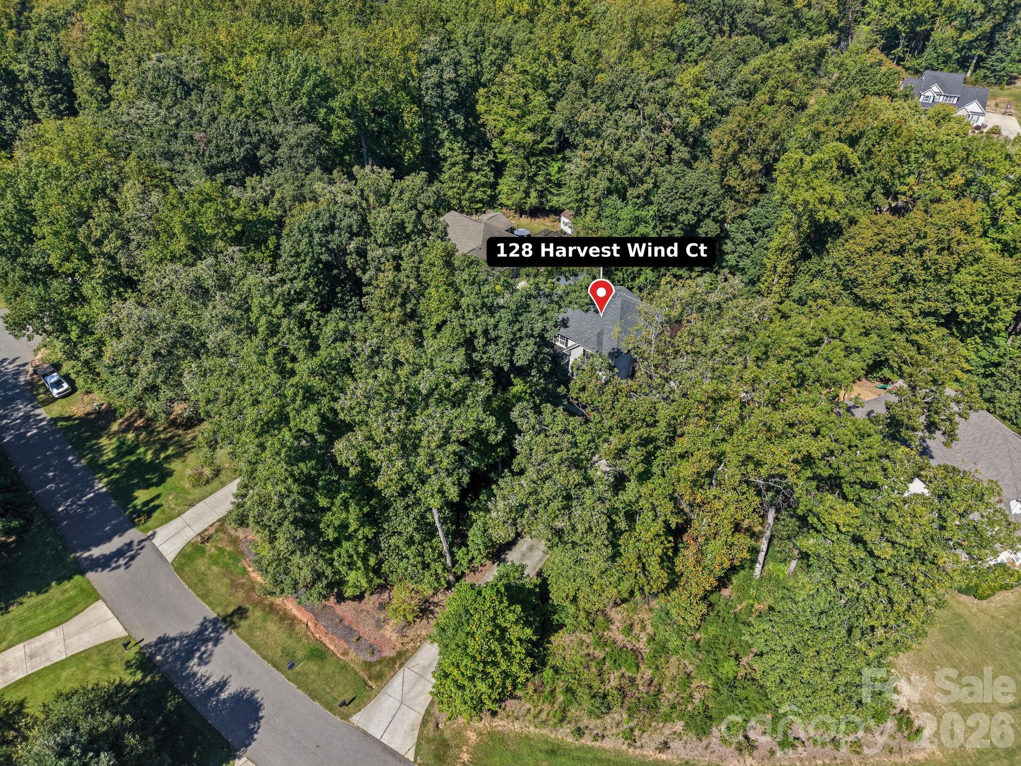 128 Harvest Wind Court Property Photo 40
