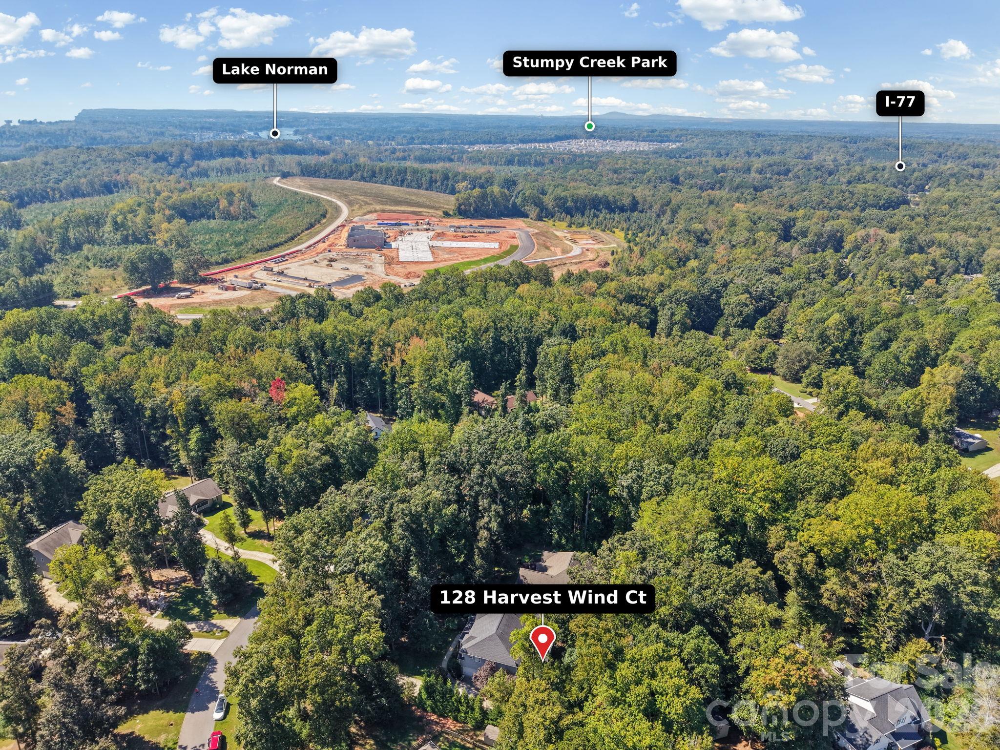 128 Harvest Wind Court Property Photo 41