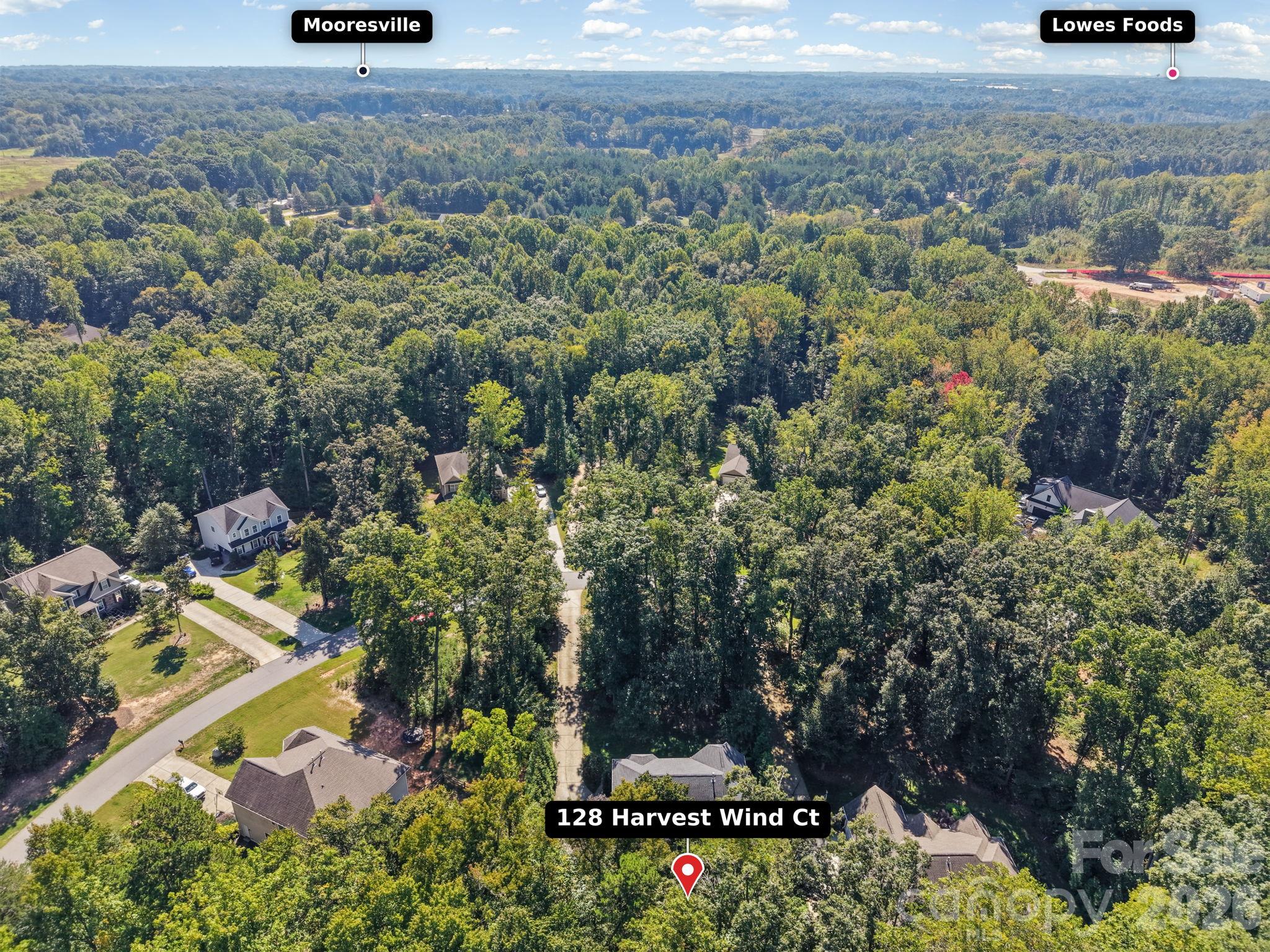 128 Harvest Wind Court Property Photo 42