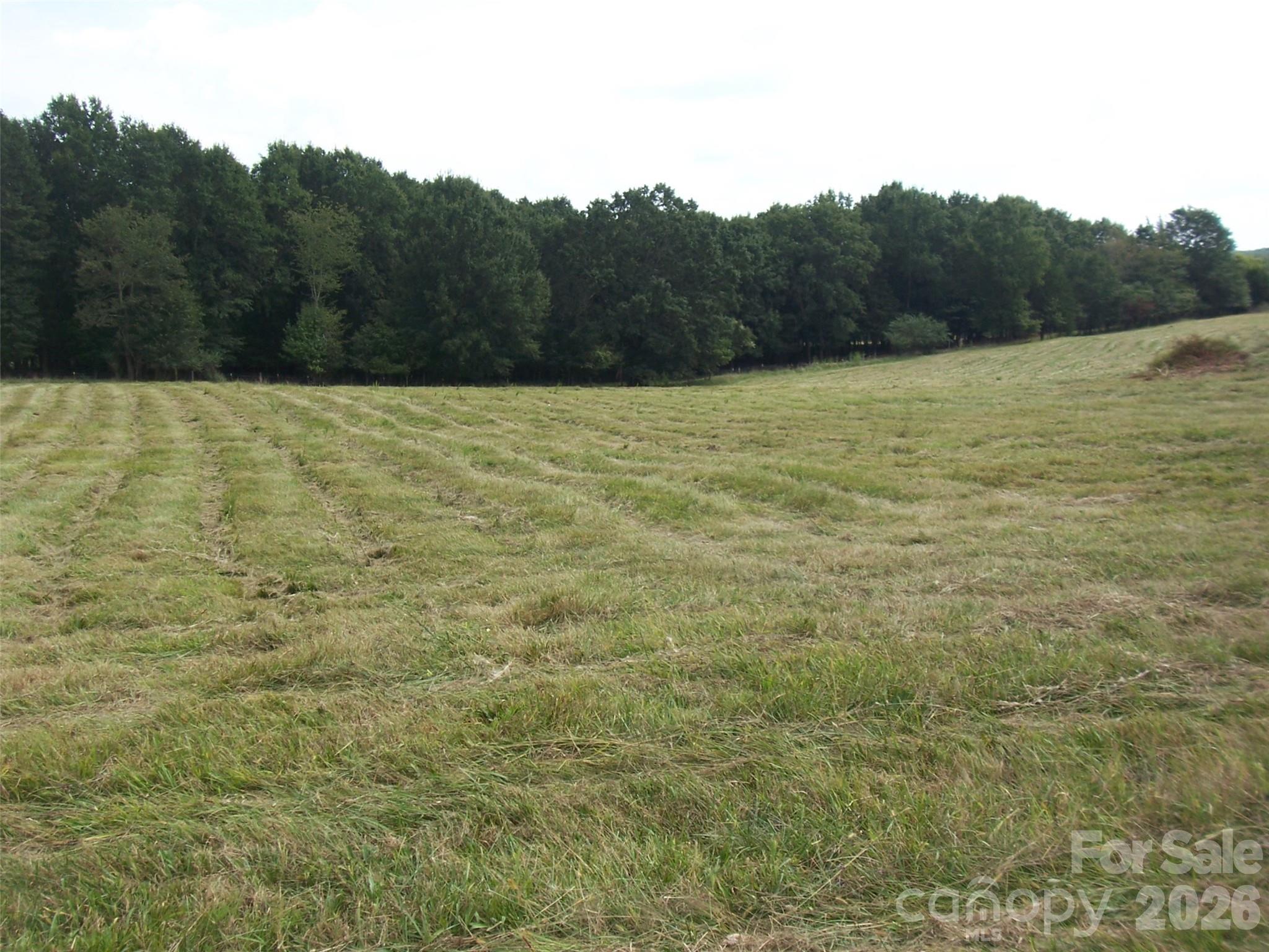 1106 Earl Road Property Photo 15
