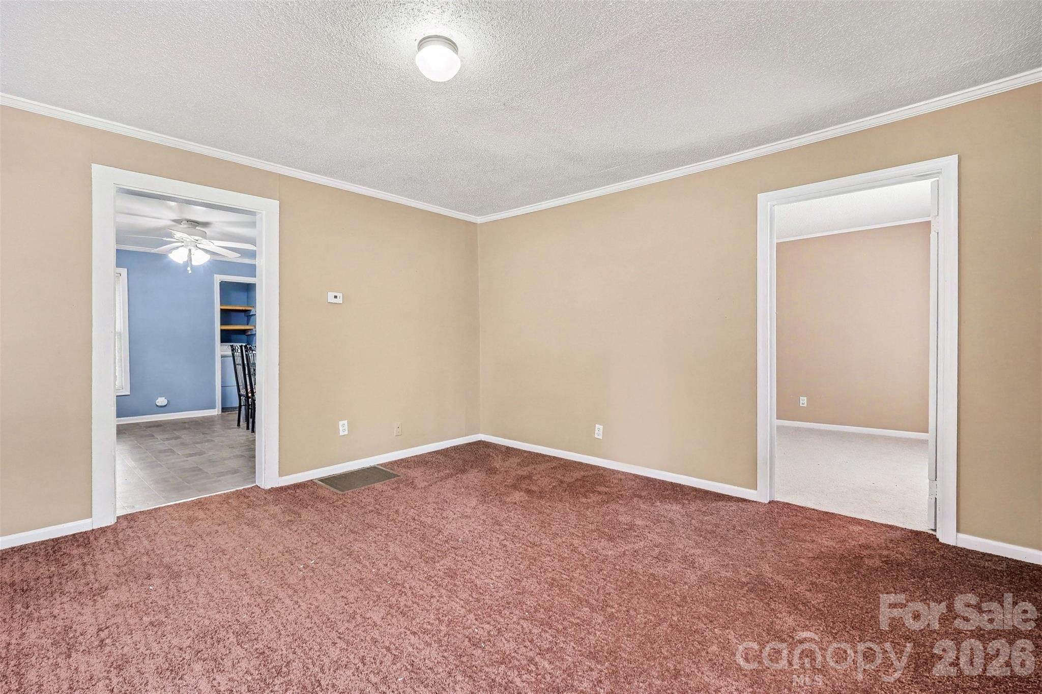 207 Morris Street Property Photo 14